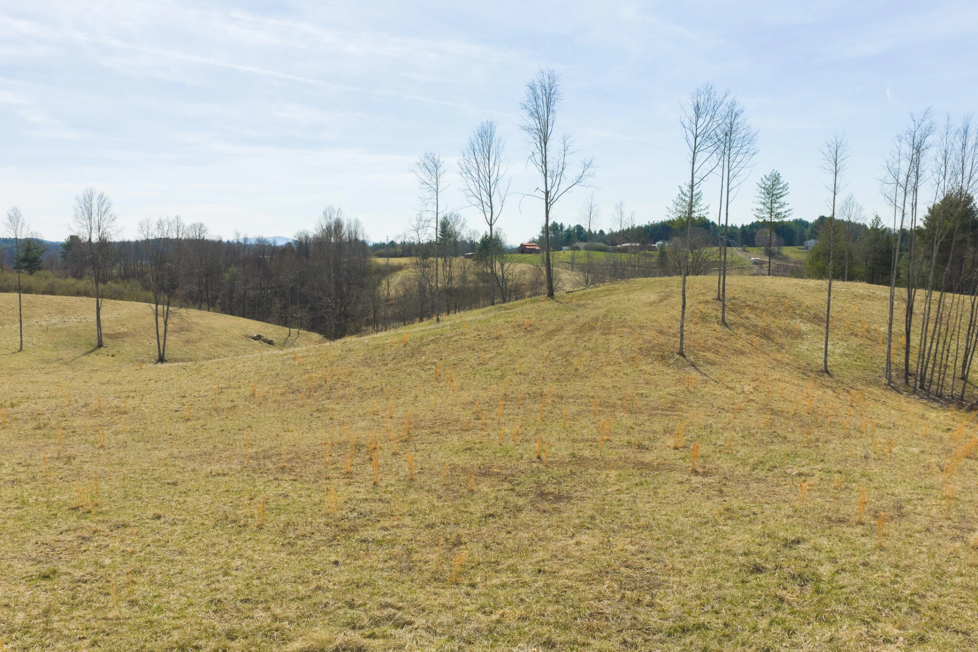 TBD Carsonville RD - Photo 13