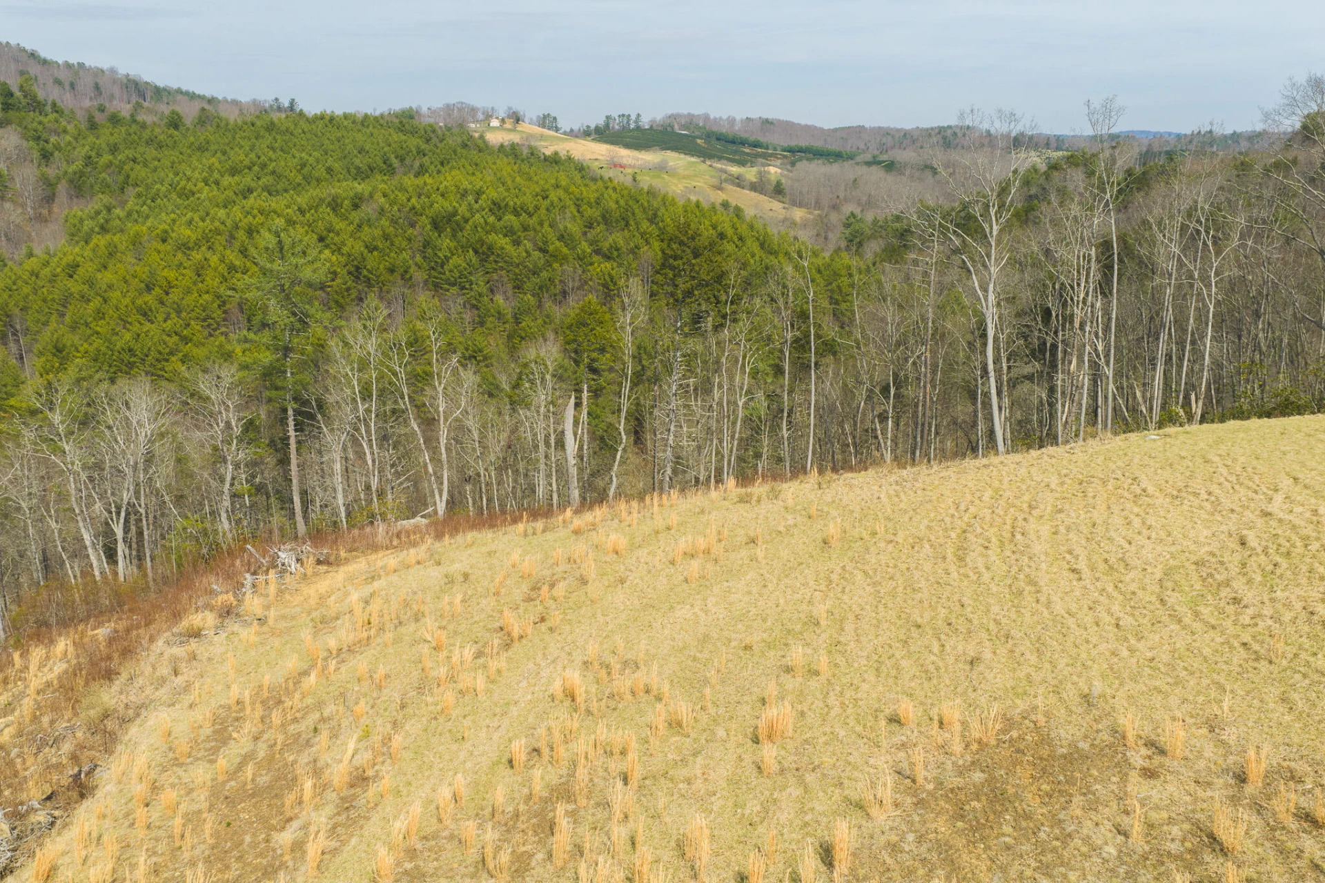 TBD Carsonville RD - Photo 15