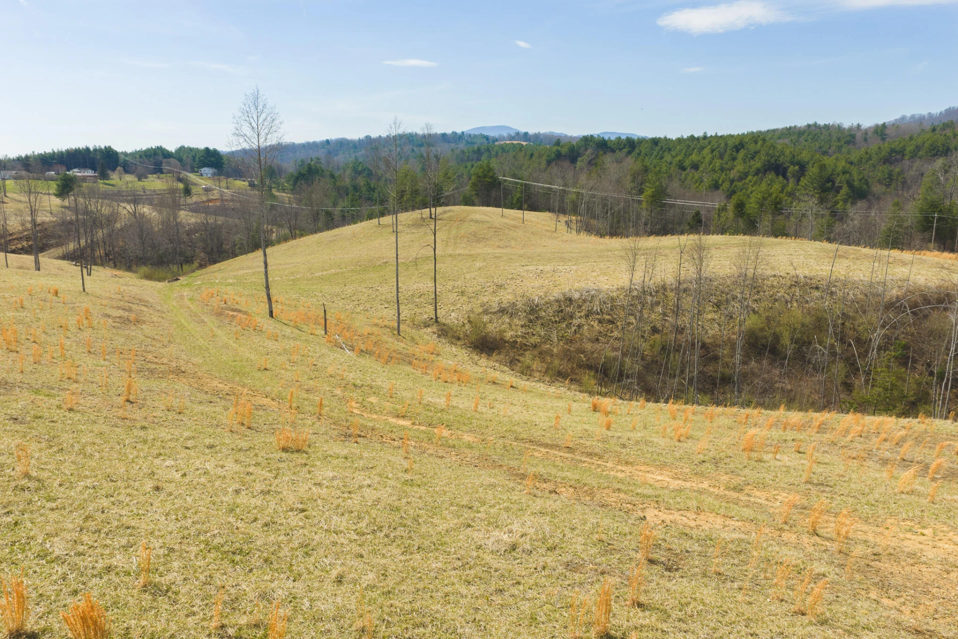 TBD Carsonville RD - Photo 16