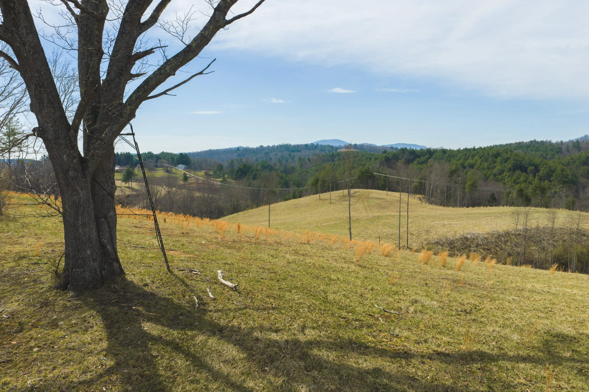 TBD Carsonville RD - Photo 23