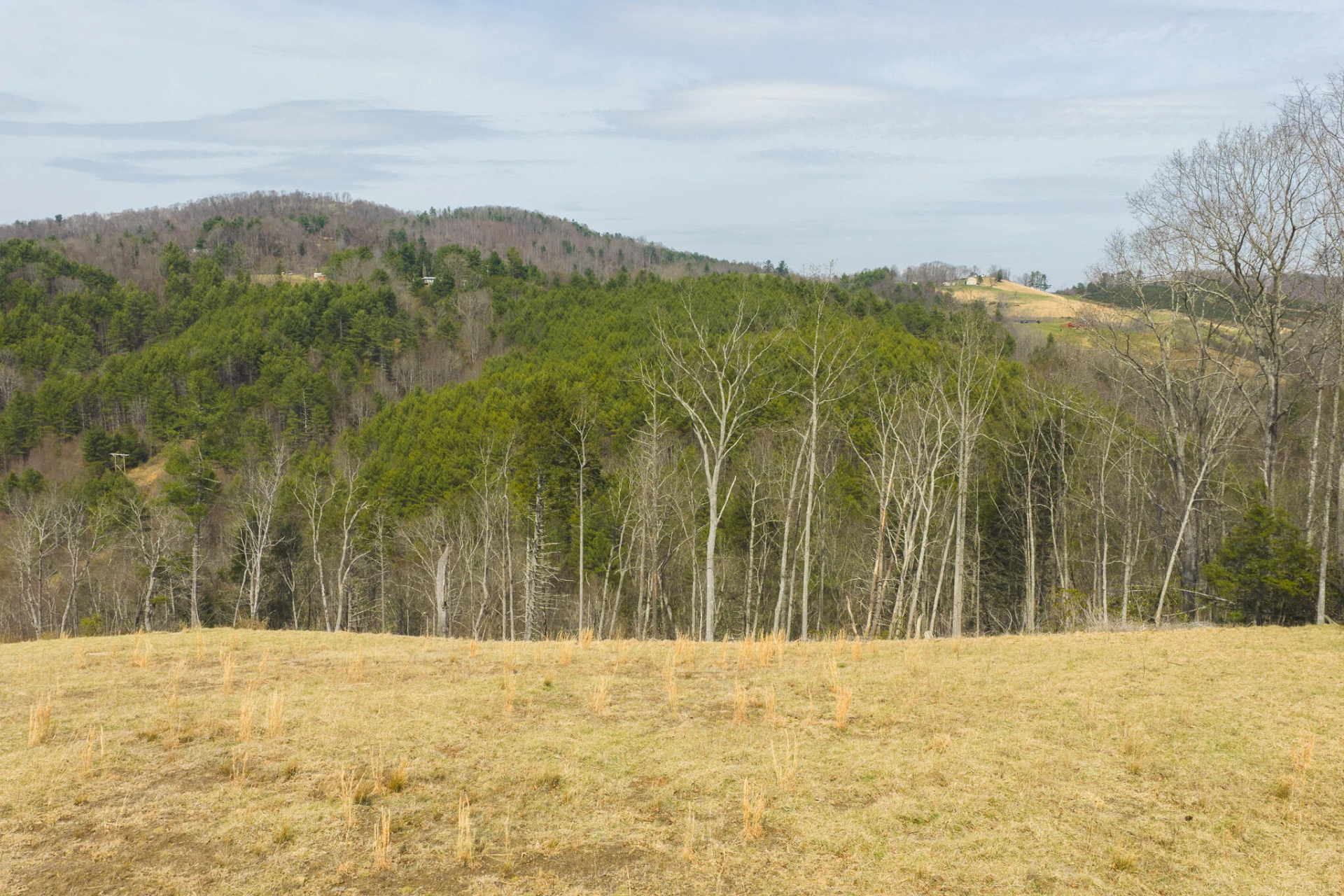 TBD Carsonville RD - Photo 24