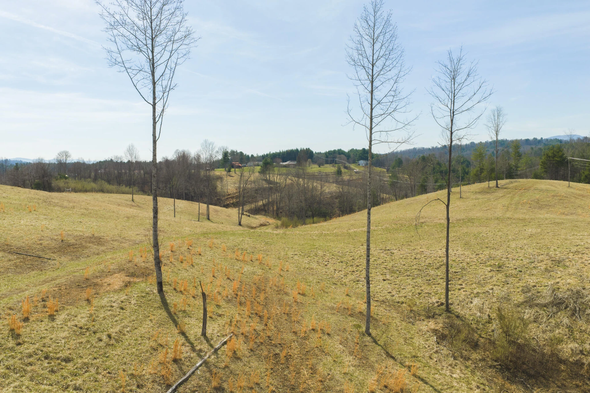 TBD Carsonville RD - Photo 3