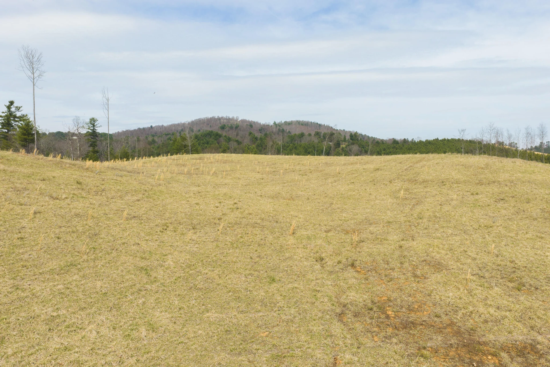 TBD Carsonville RD - Photo 8