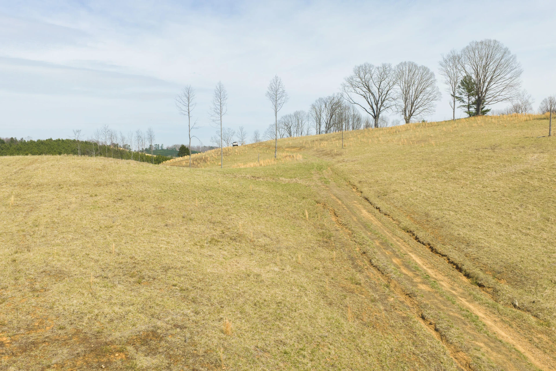 TBD Carsonville RD - Photo 9