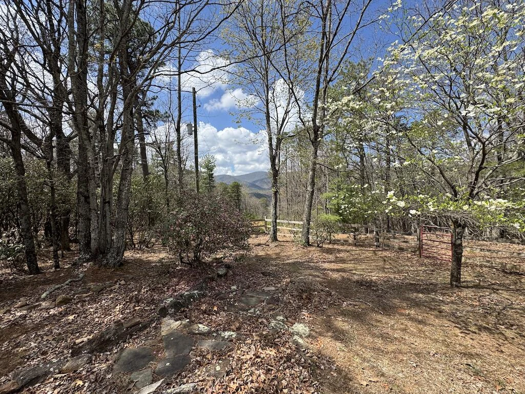 145 Via Mountain LN - Photo 10