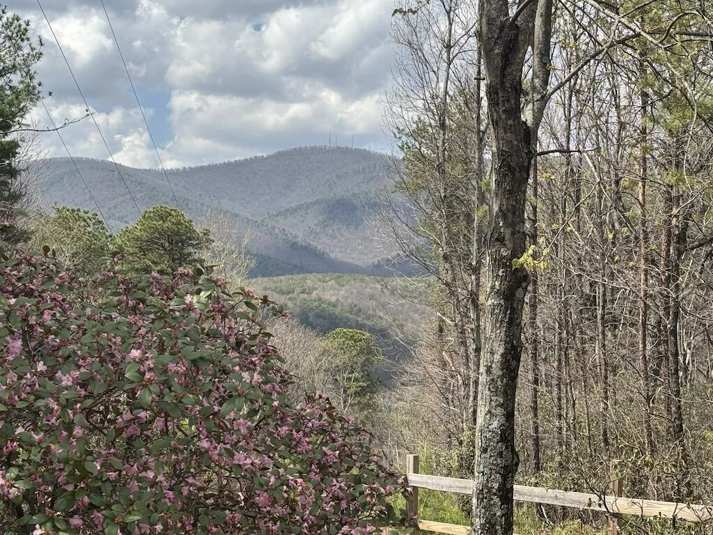 145 Via Mountain LN - Photo 11