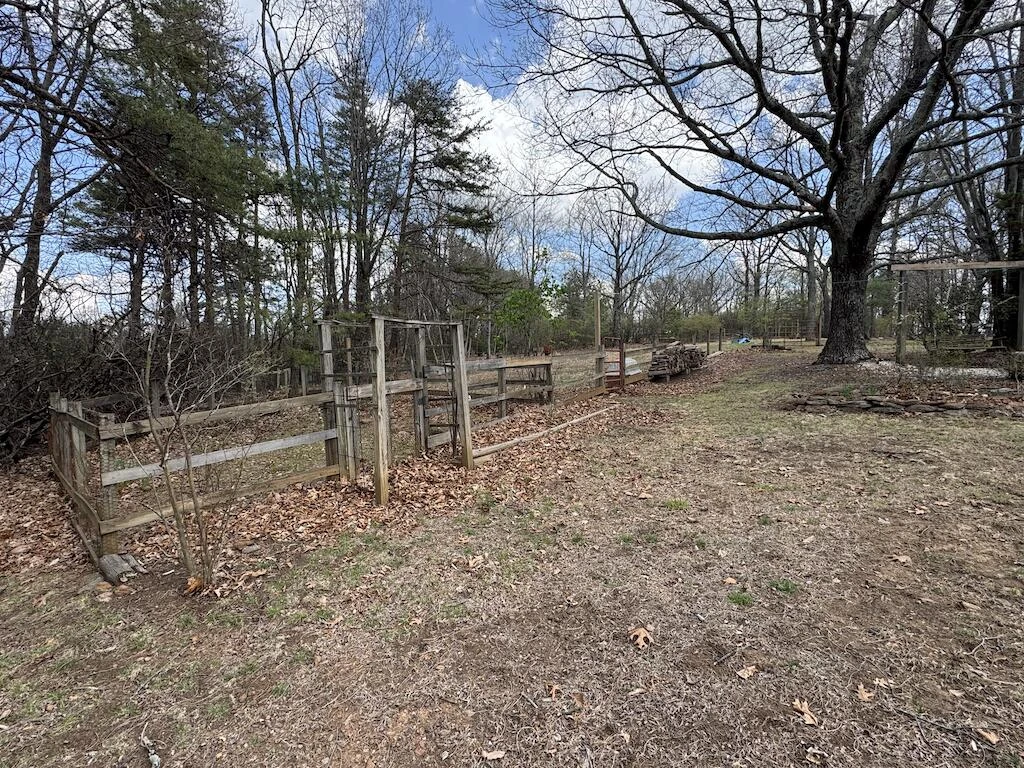 145 Via Mountain LN - Photo 12