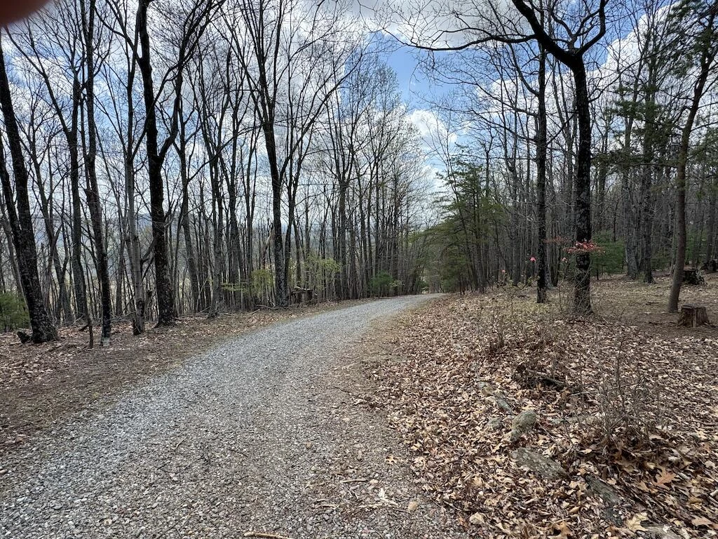 145 Via Mountain LN - Photo 13
