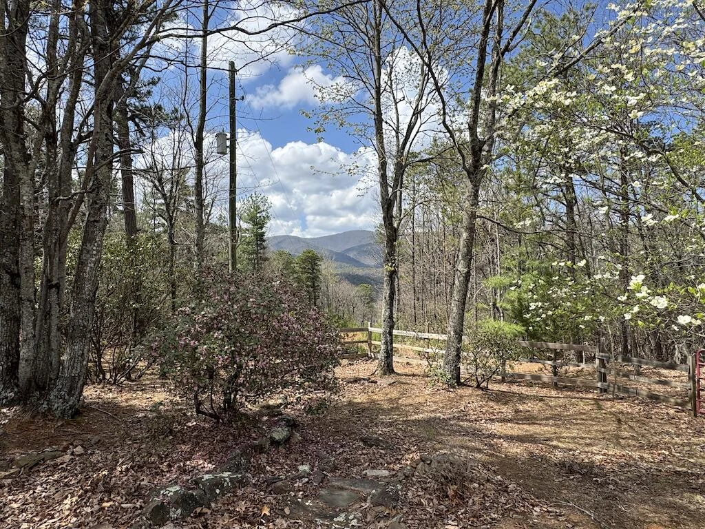 145 Via Mountain LN - Photo 9