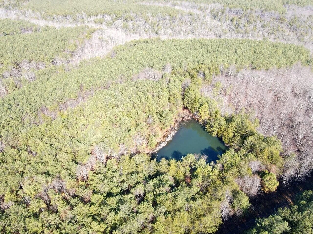 0 Bowater RD - Photo 2