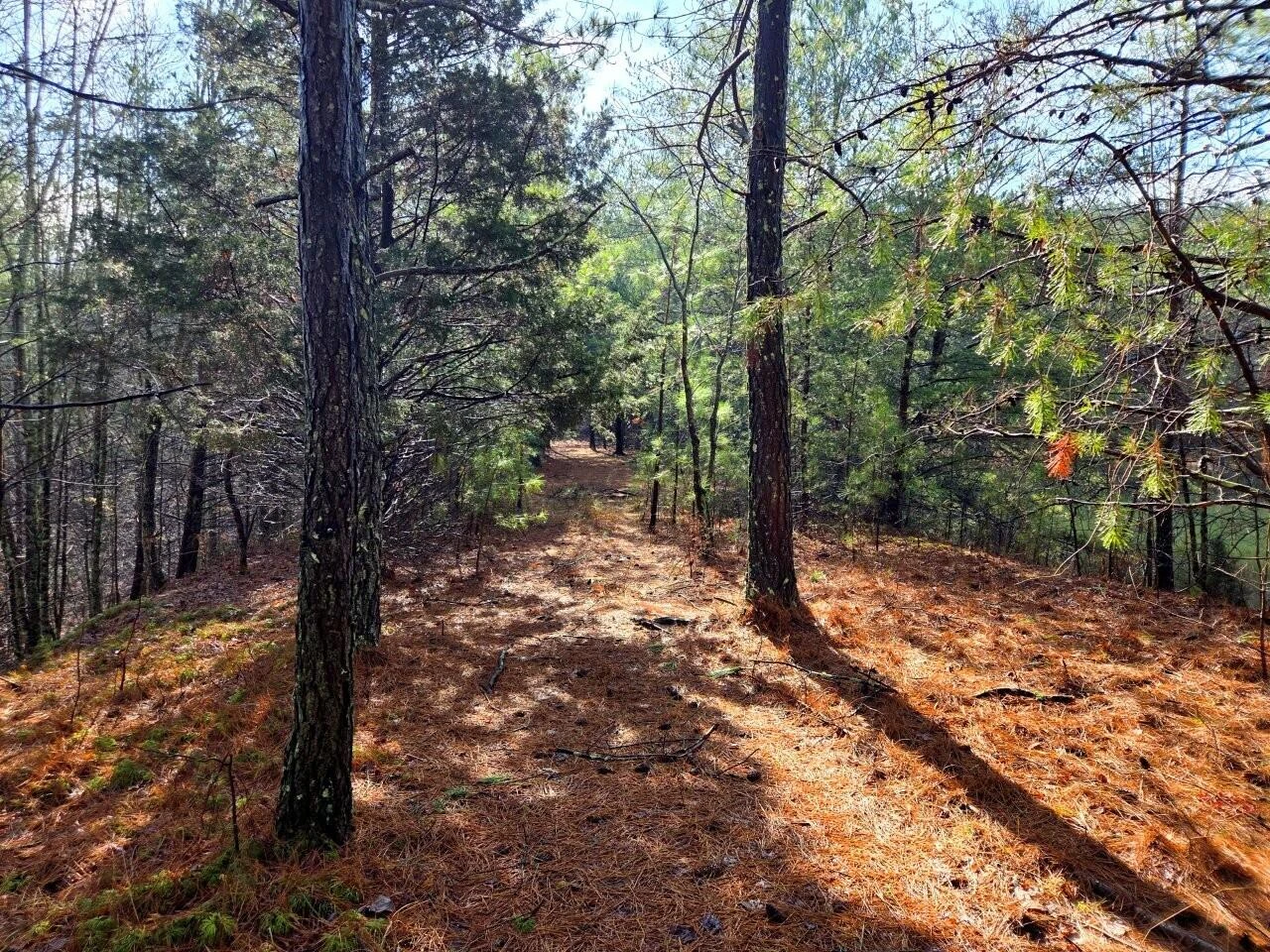 0 Bowater RD - Photo 4