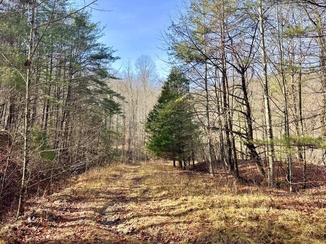 0 Bowater RD - Photo 5