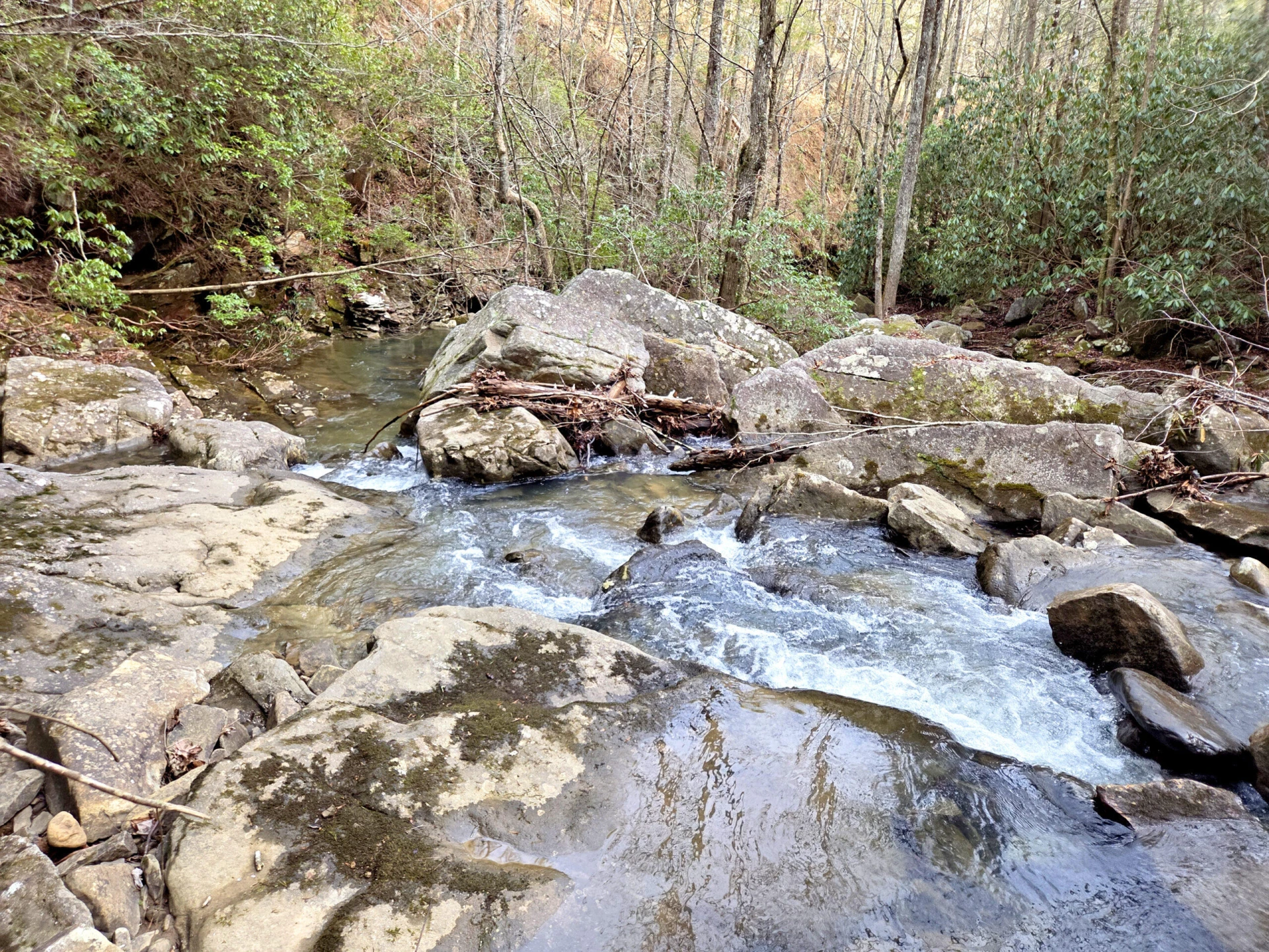 0 Chestnut Oak DR - Photo 4