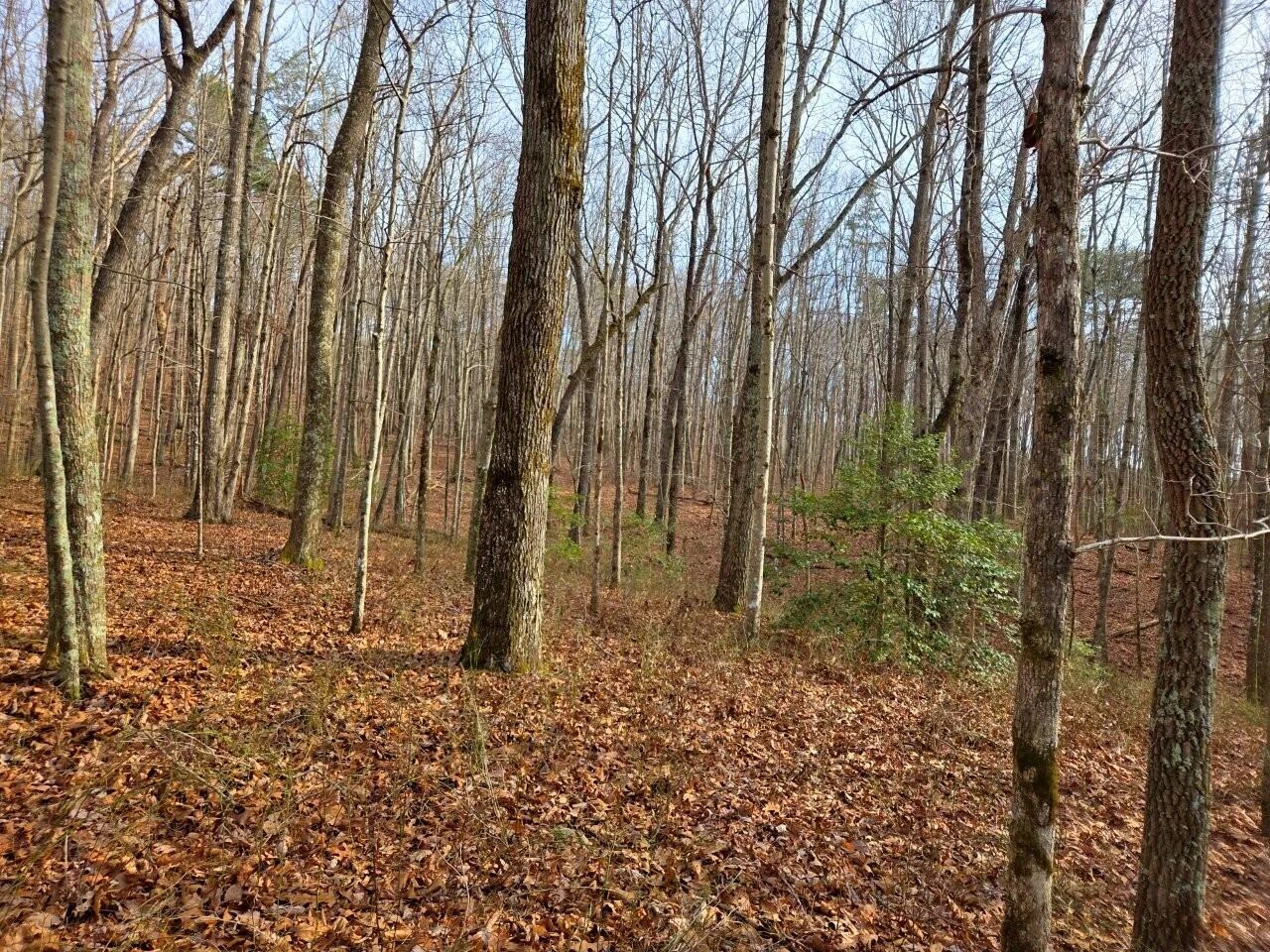 0 Chestnut Oak DR - Photo 7