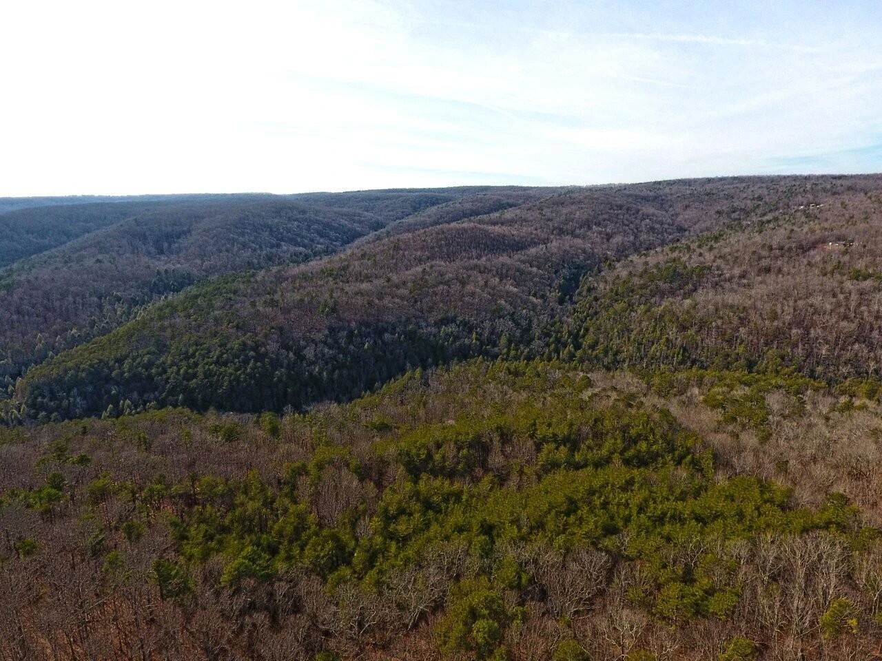 0 Chestnut Oak DR - Photo 8