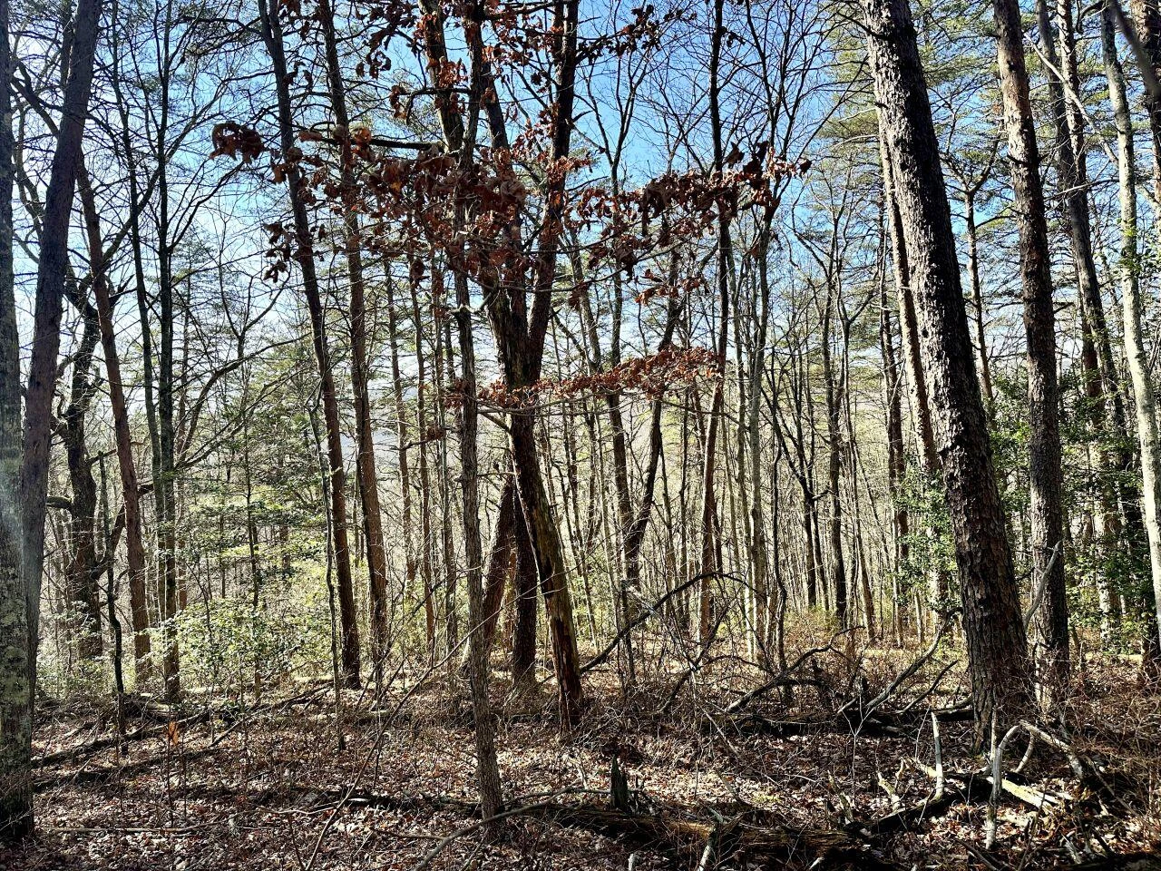 0 Hobbstown RD - Photo 2