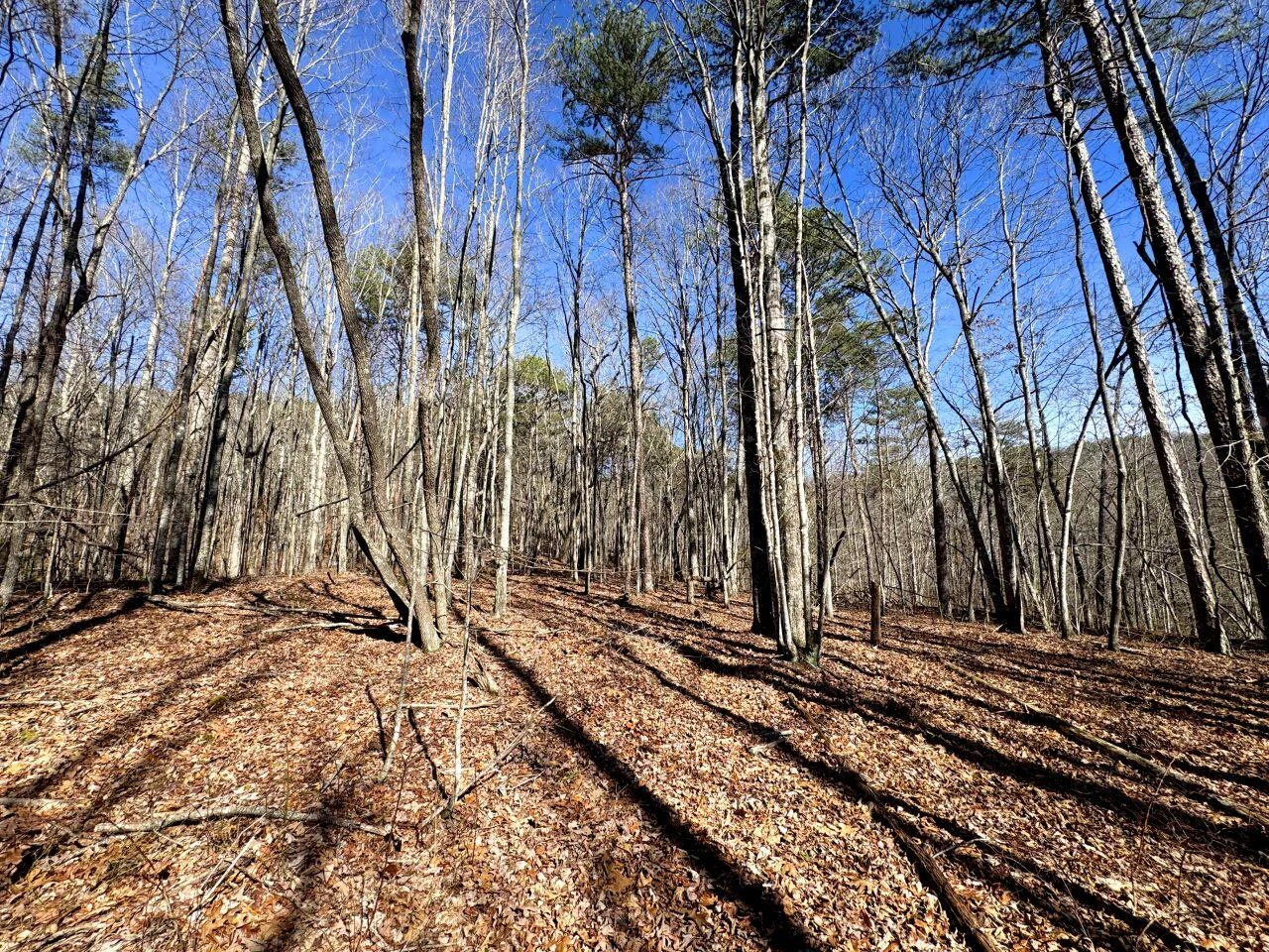 0 Hobbstown RD - Photo 3