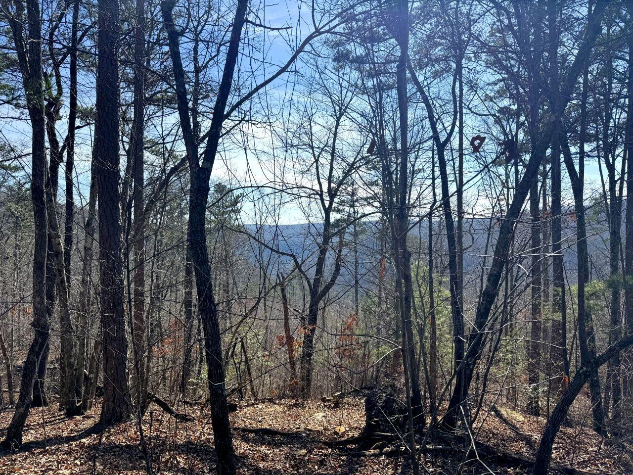 0 Hobbstown RD - Photo 4