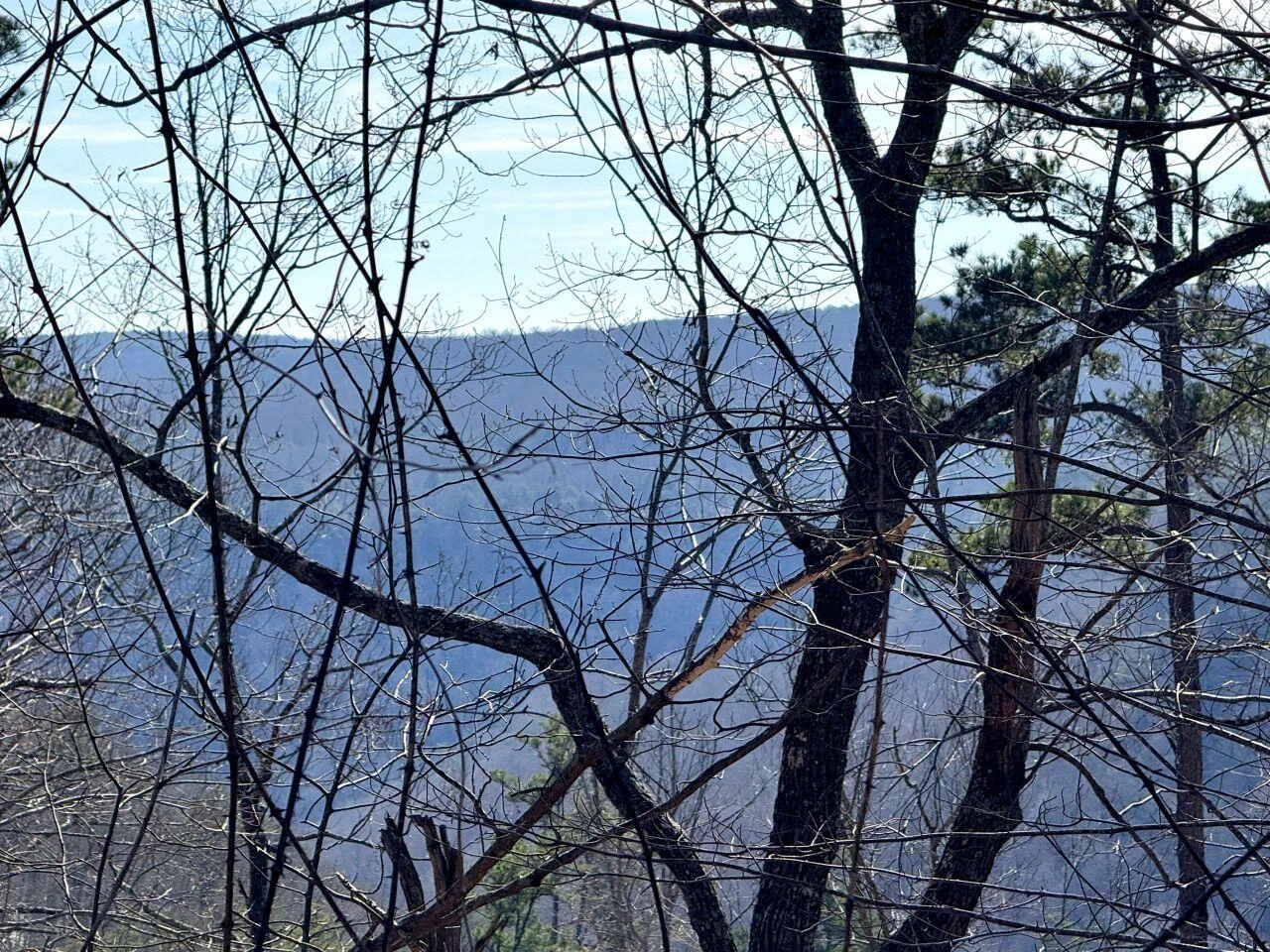 0 Hobbstown RD - Photo 5