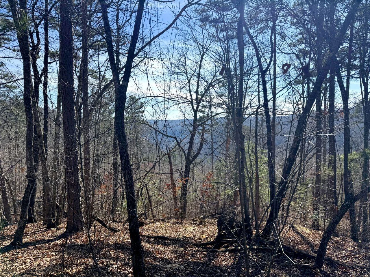 0 Hobbstown RD - Photo 6