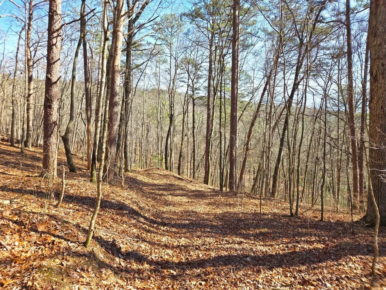 0 Hobbstown RD - Photo 7