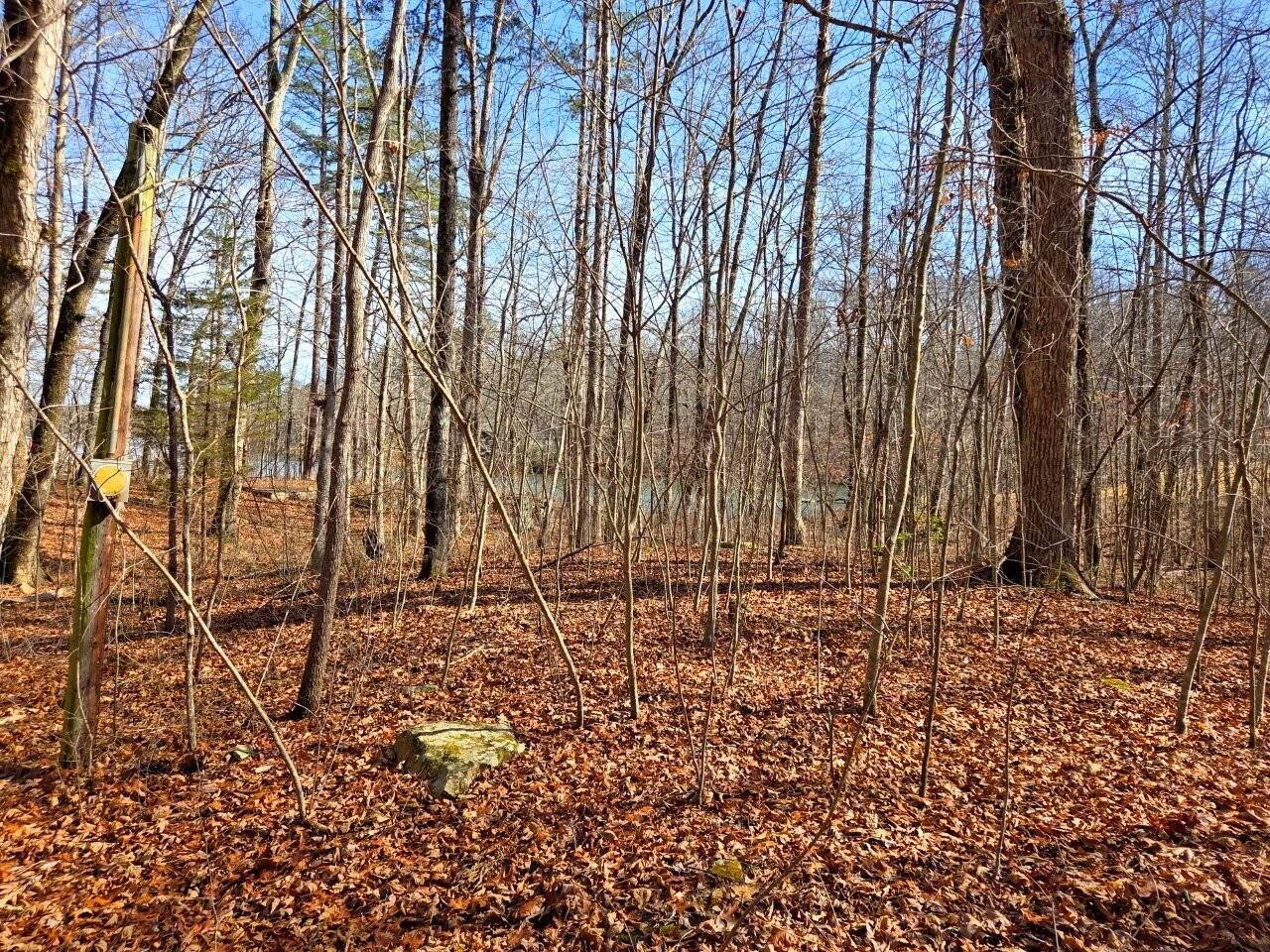 0 Fawn CIR - Photo 3