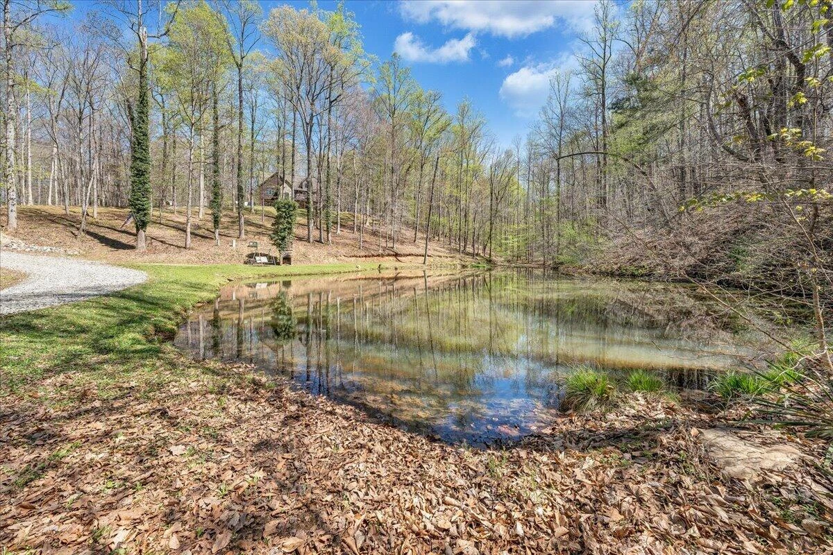 485 Promise LN - Photo 46