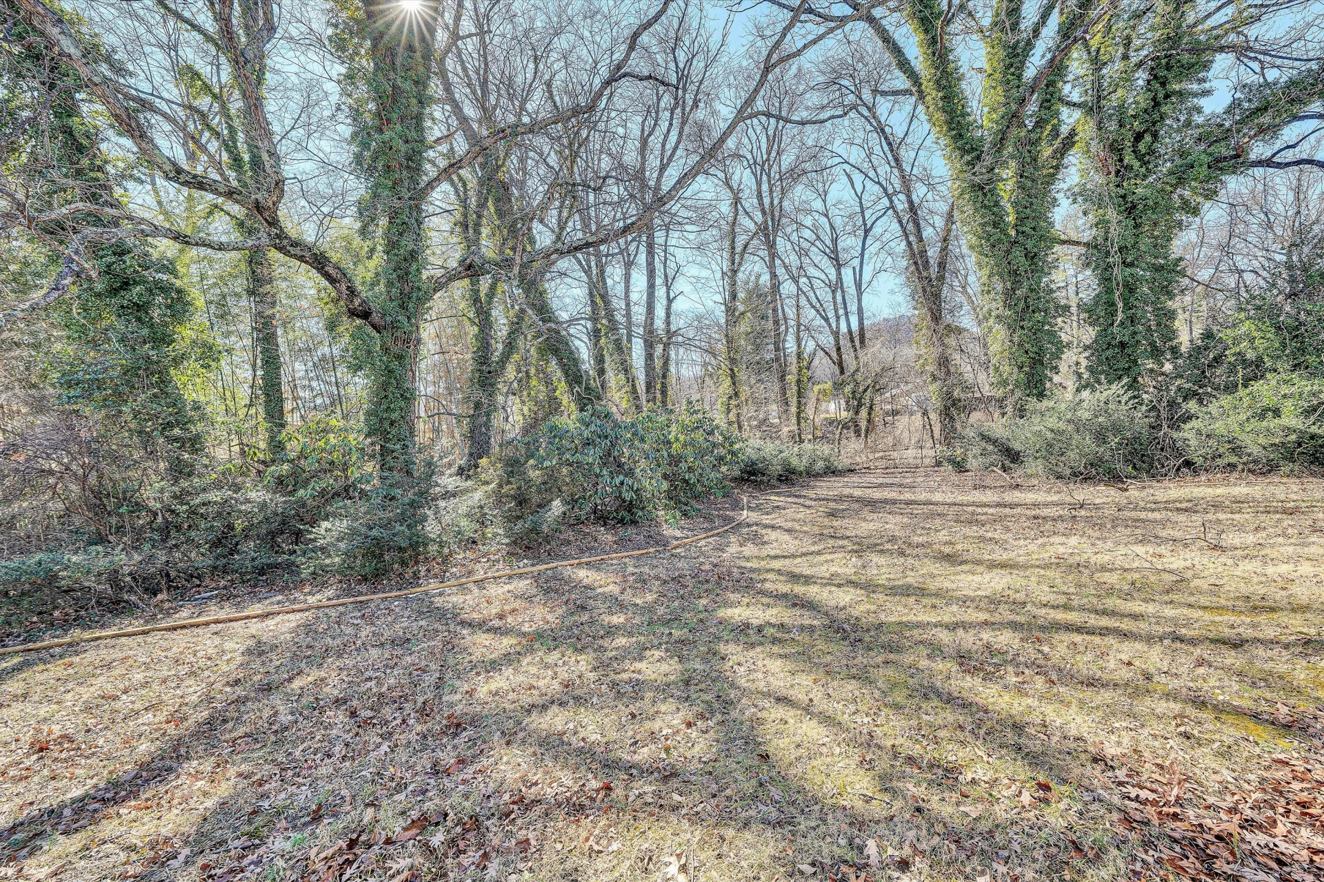 2031 Bridle LN - Photo 32