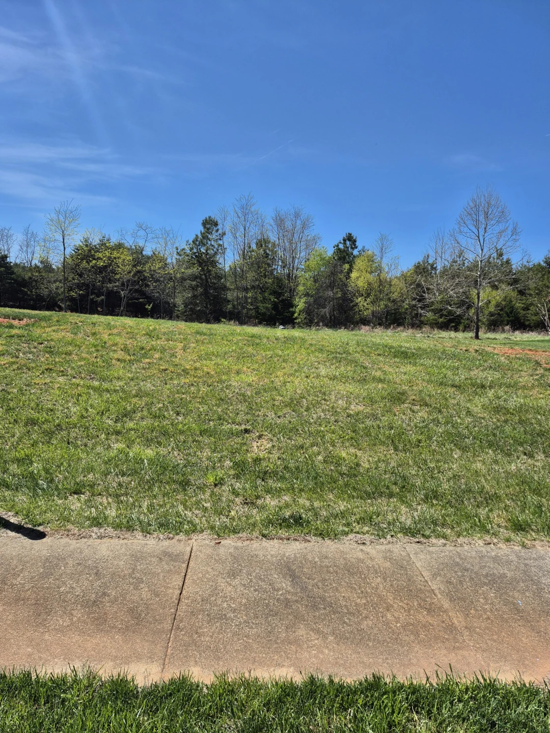 LOT 36 Cranberry CT