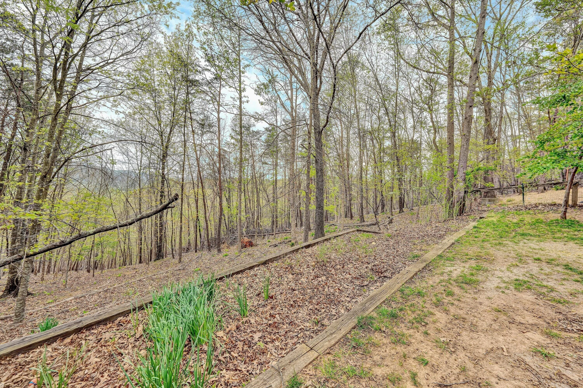 1285 Echo Hills RD - Photo 33