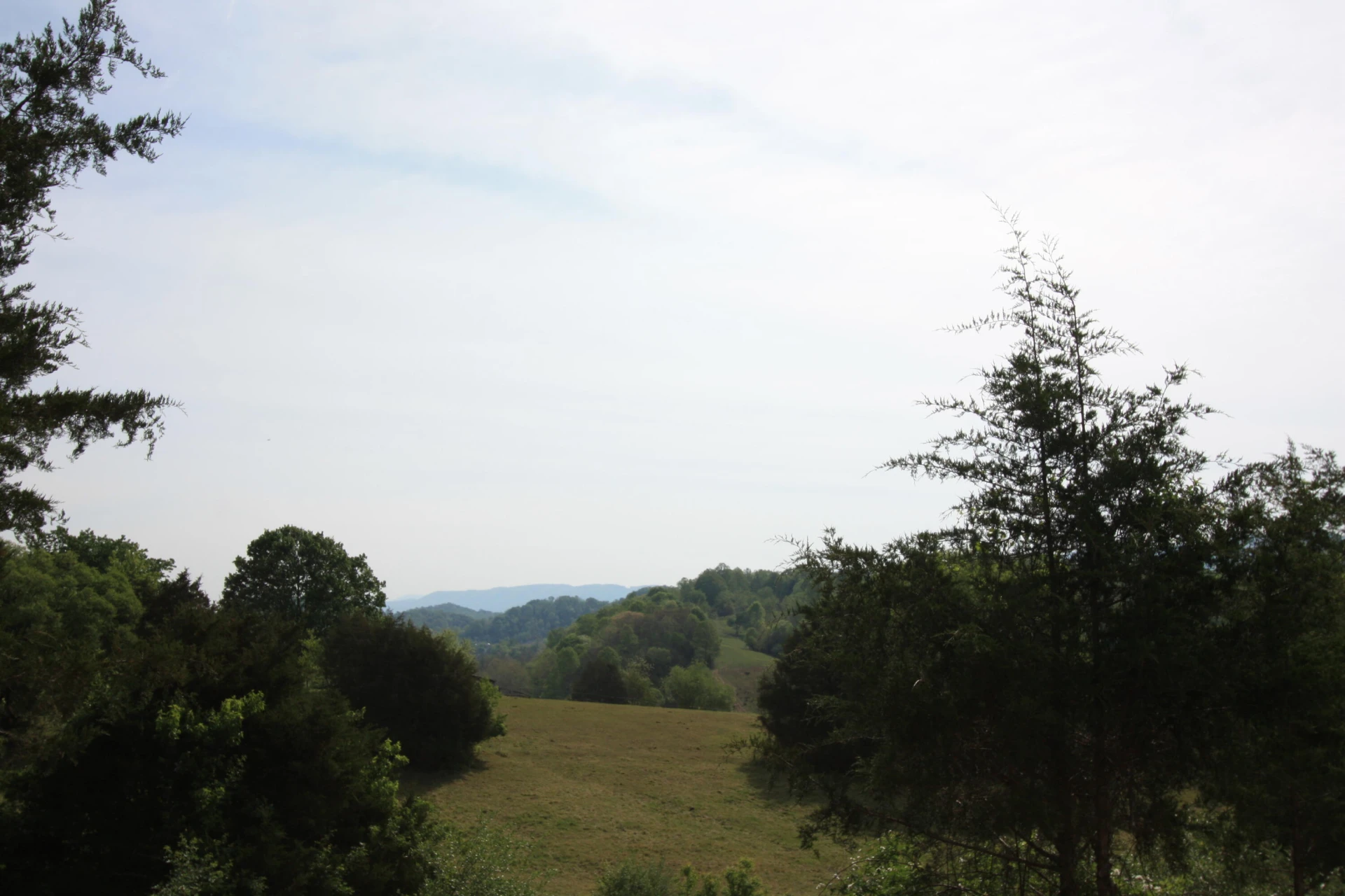 10596 Lee Hwy - Photo 58