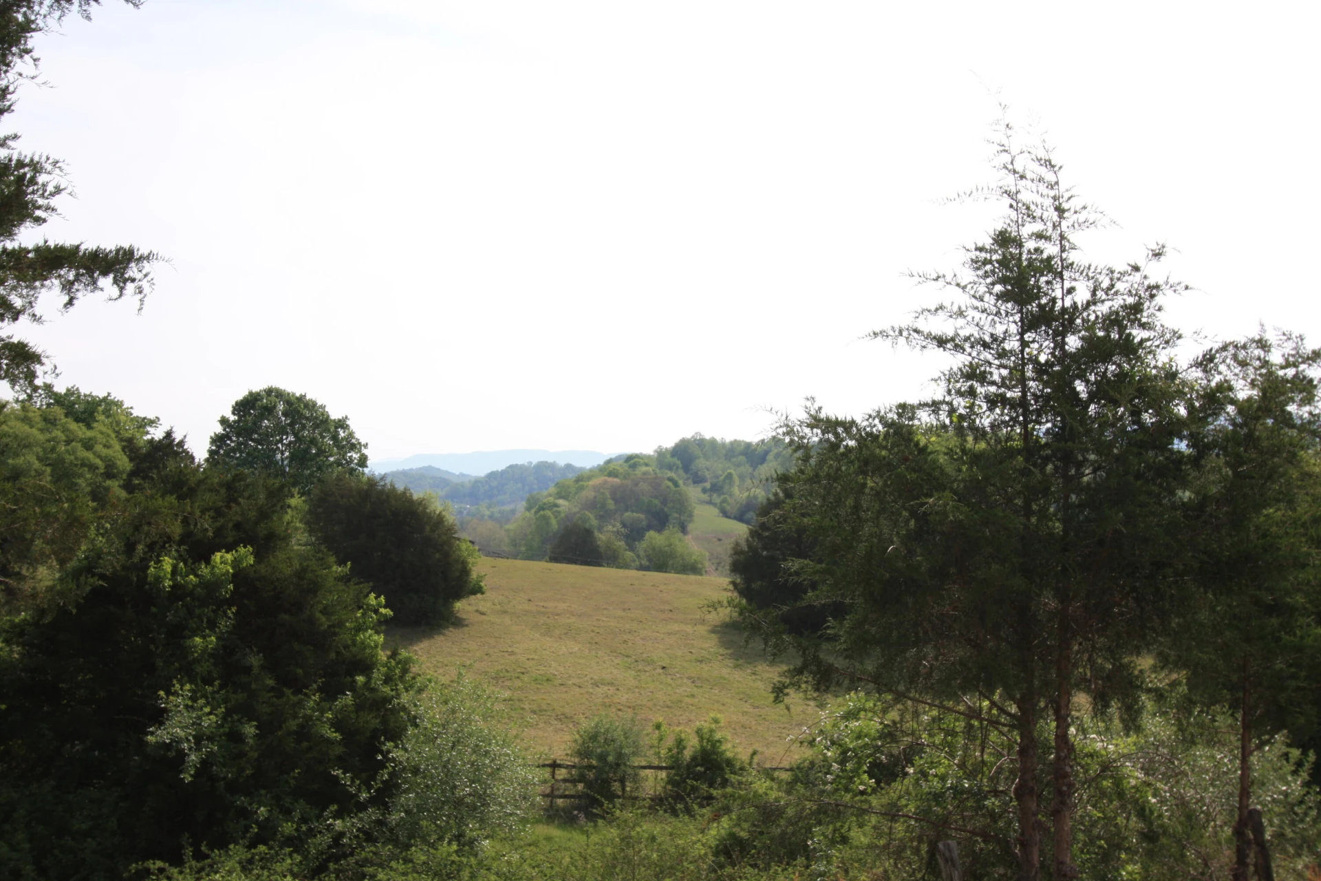 10596 Lee Hwy - Photo 59