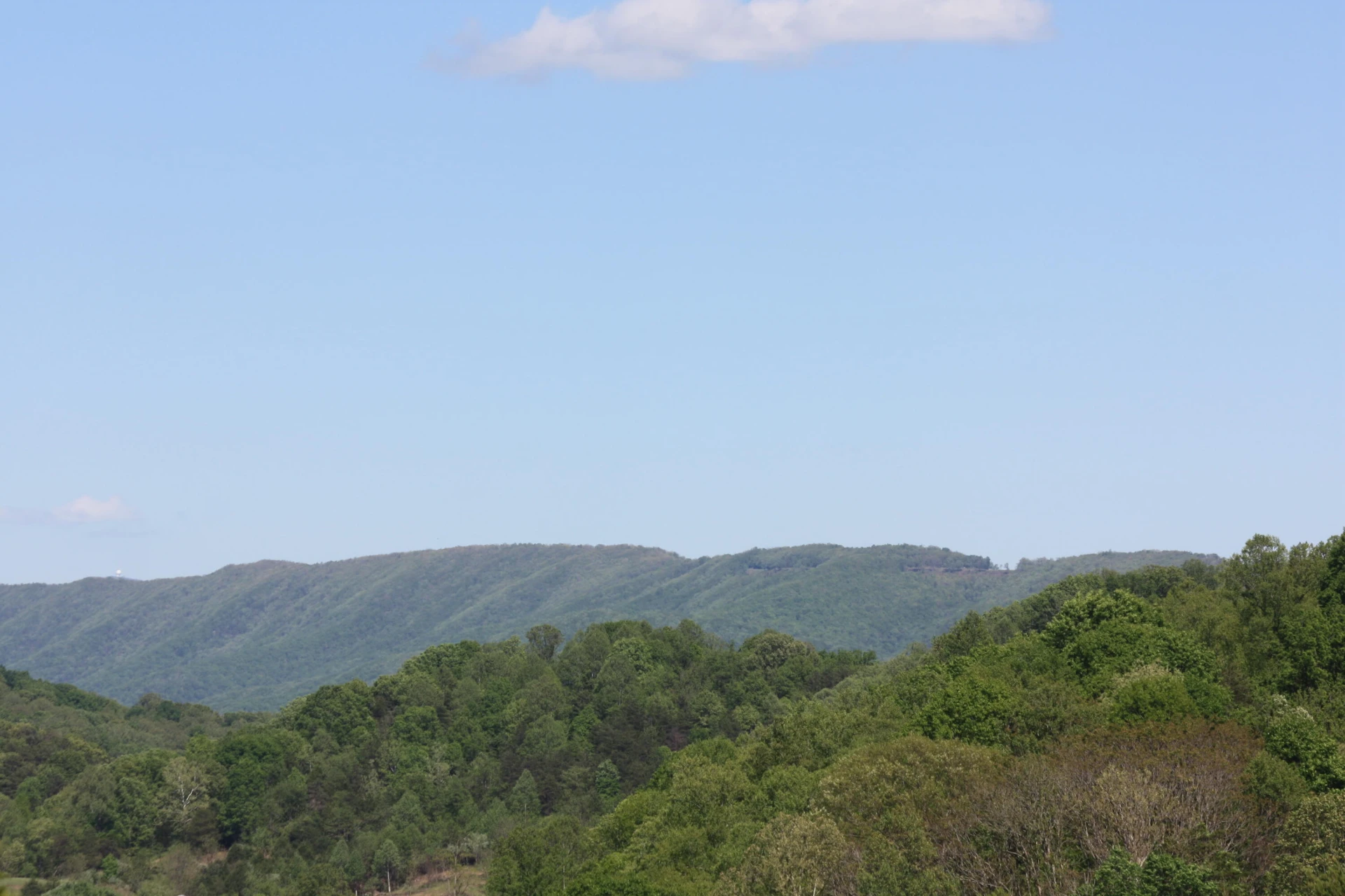 10596 Lee Hwy - Photo 62