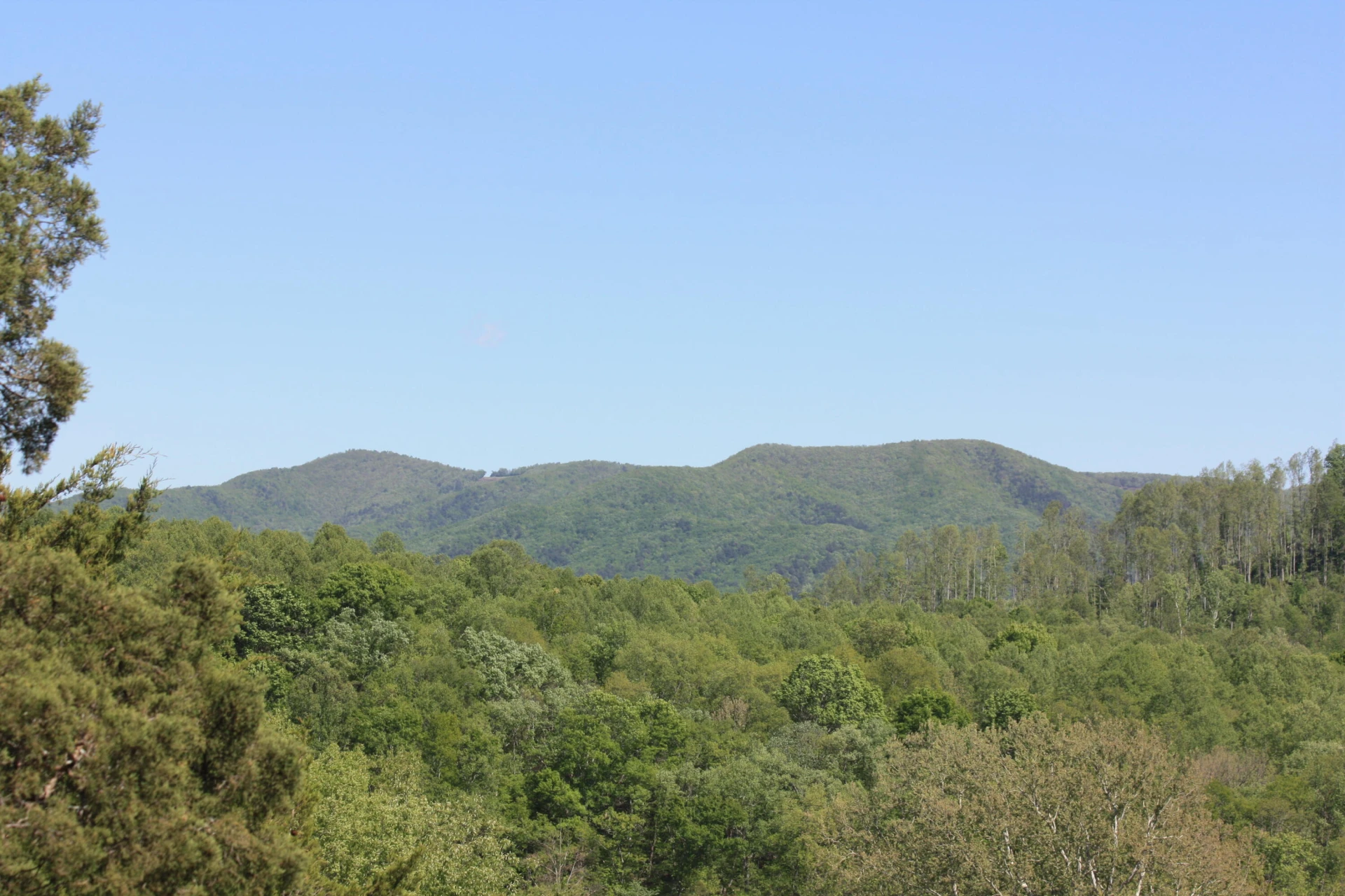 10596 Lee Hwy - Photo 63
