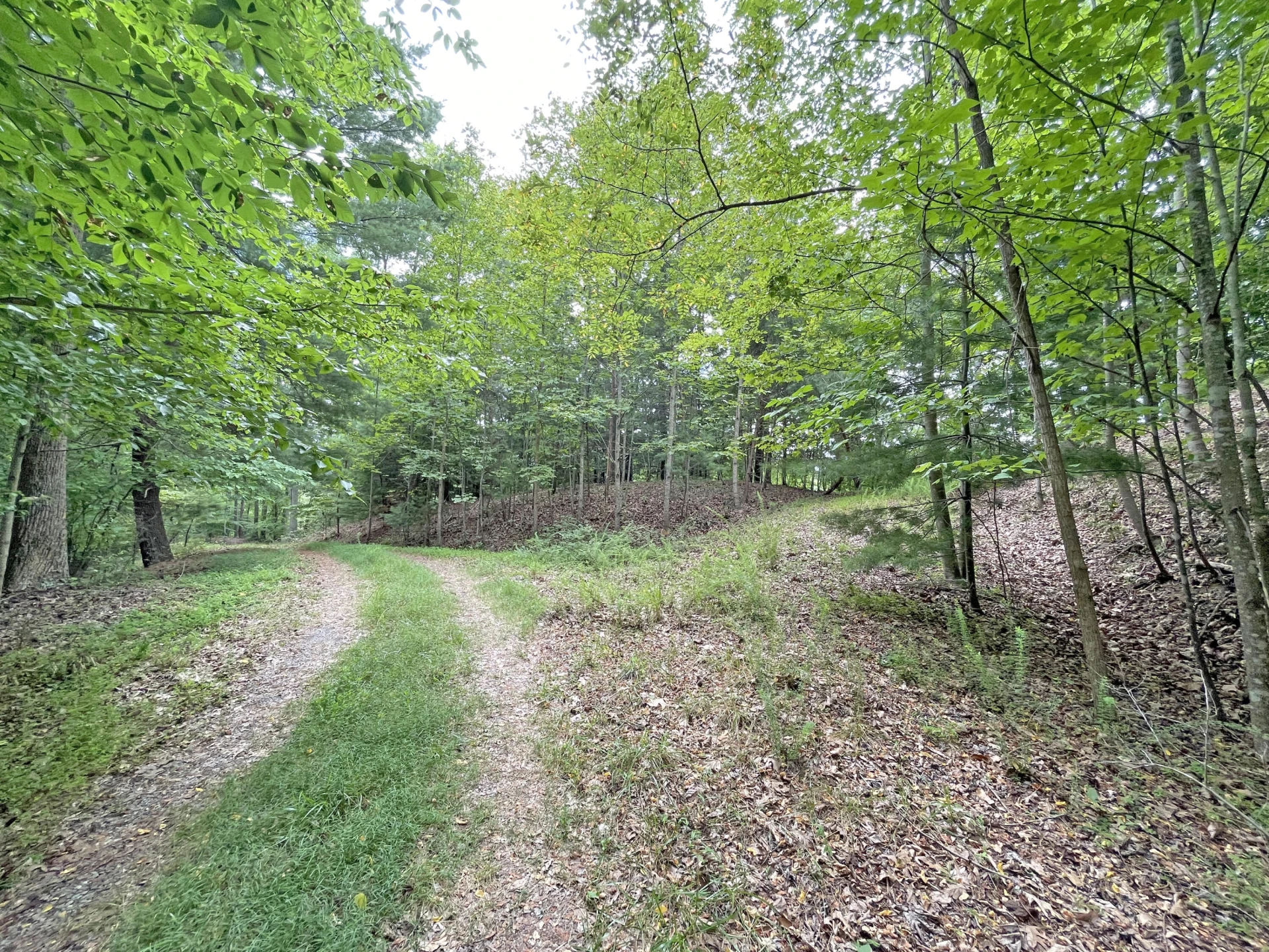 New Lot 3 Hidden Grove CT - Photo 12