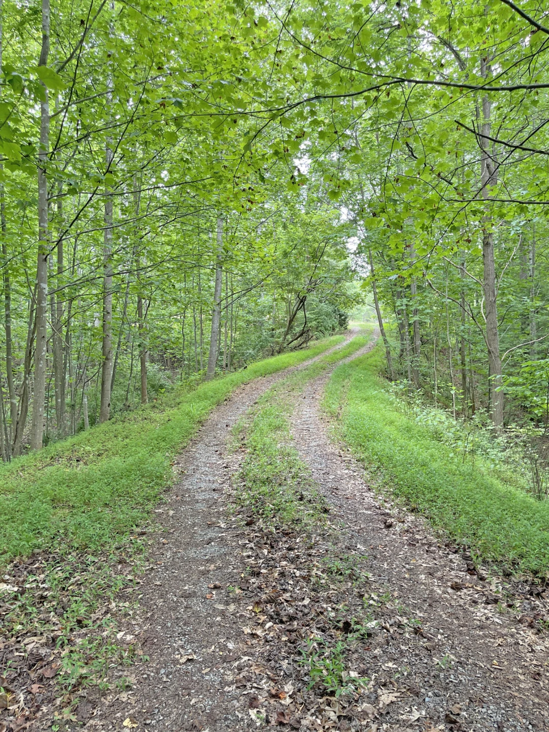 New Lot 3 Hidden Grove CT - Photo 13