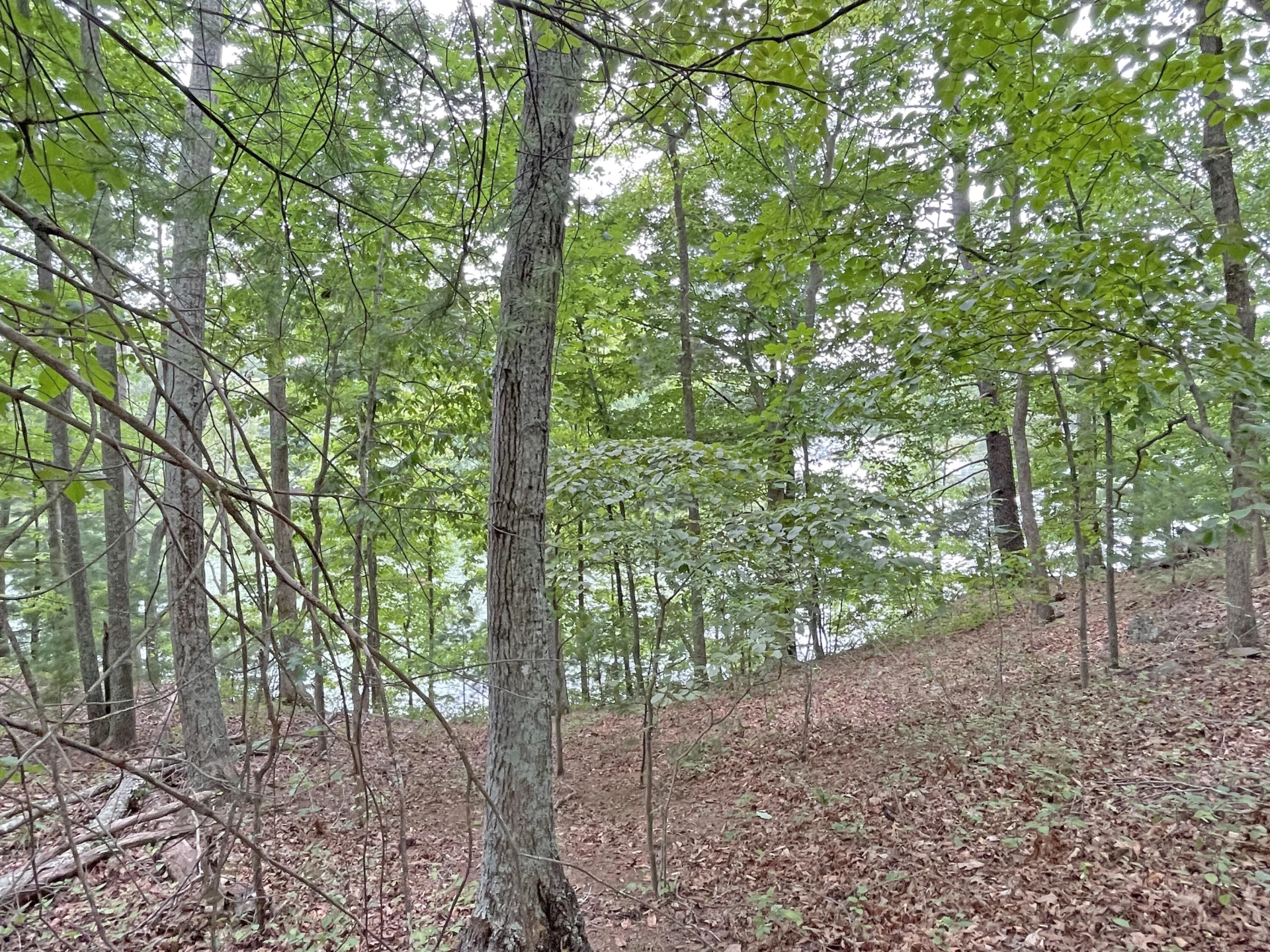 New Lot 3 Hidden Grove CT - Photo 14