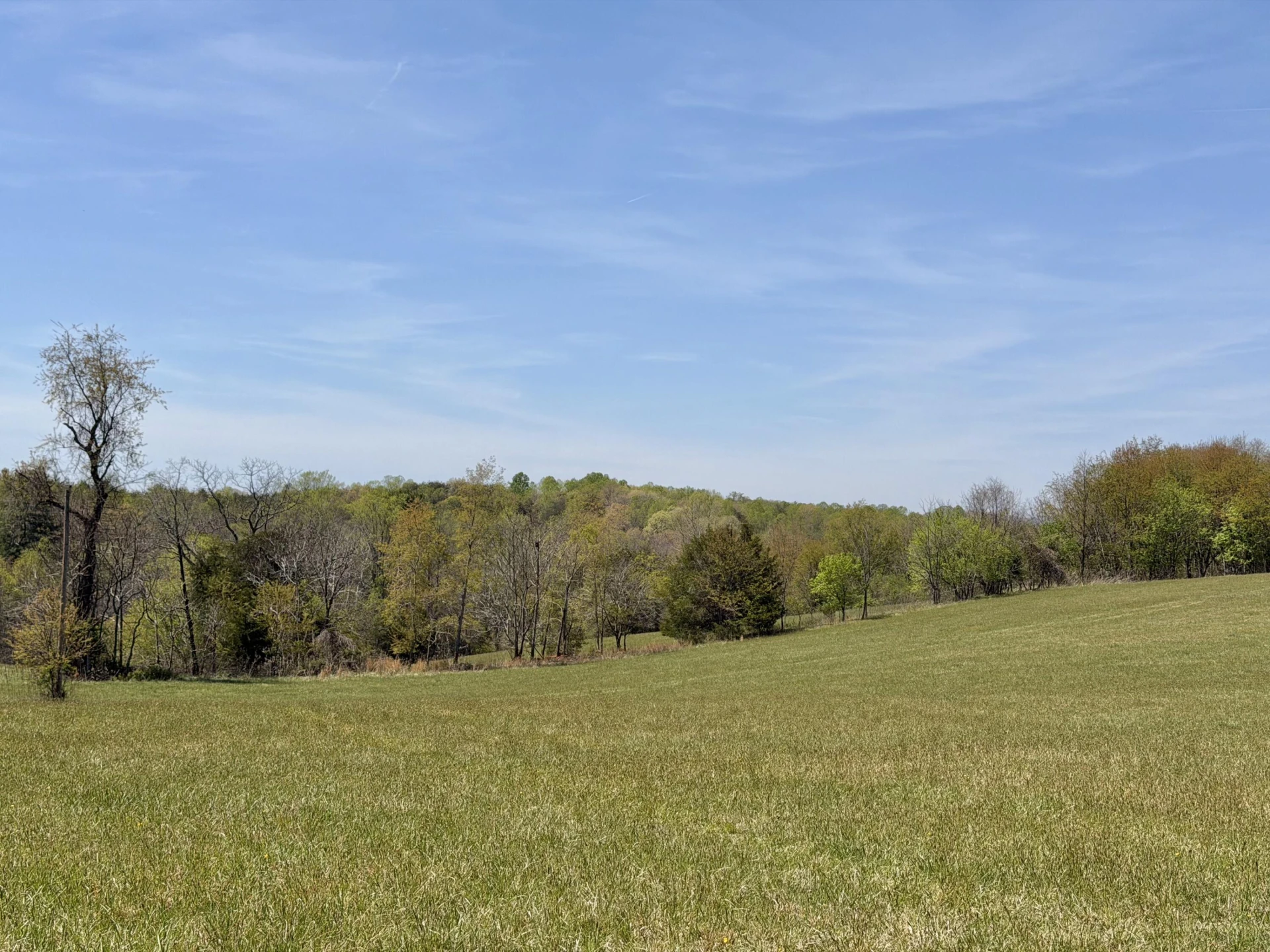 0 Greenhouse RD - Photo 42