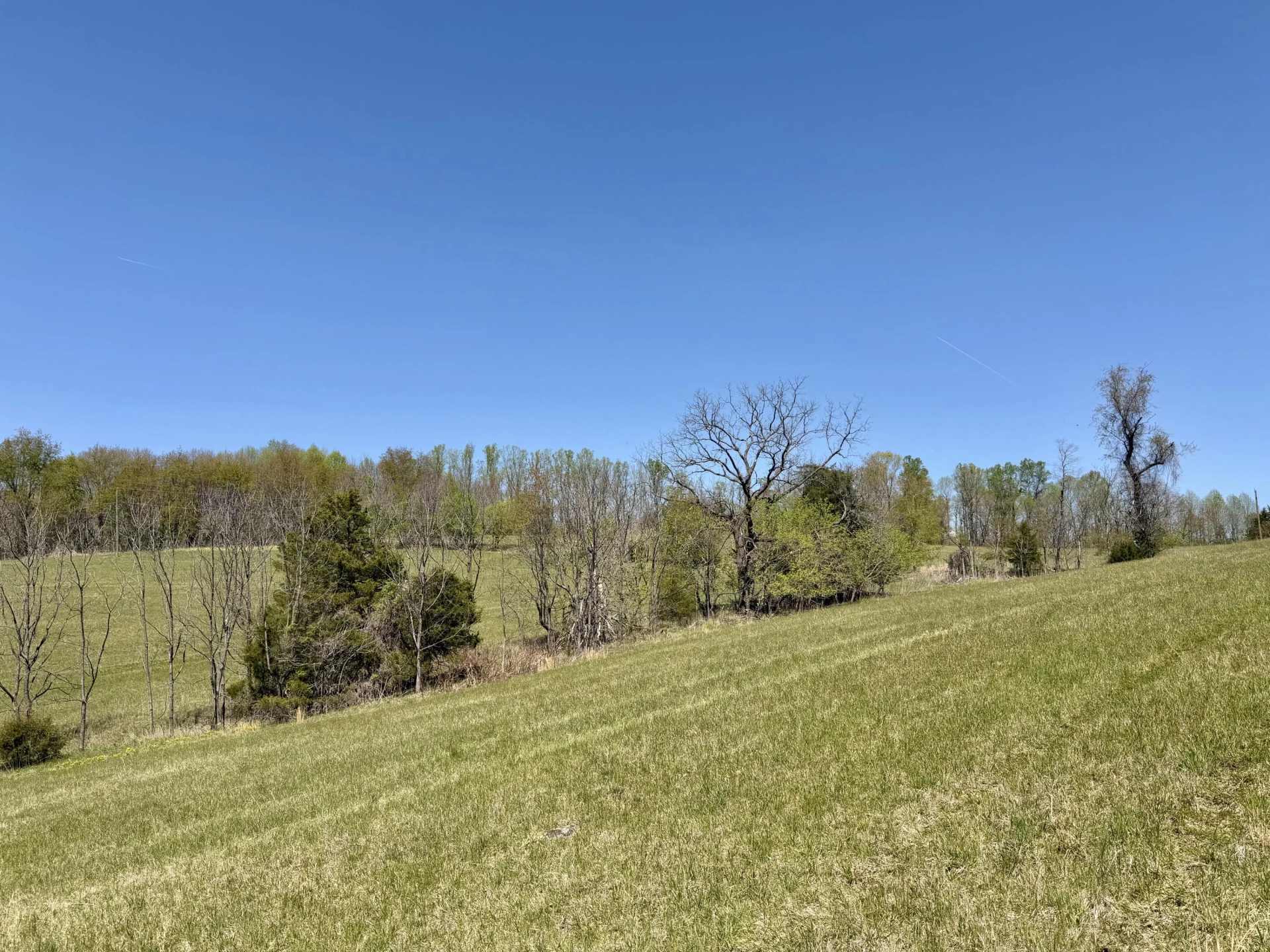0 Greenhouse RD - Photo 44