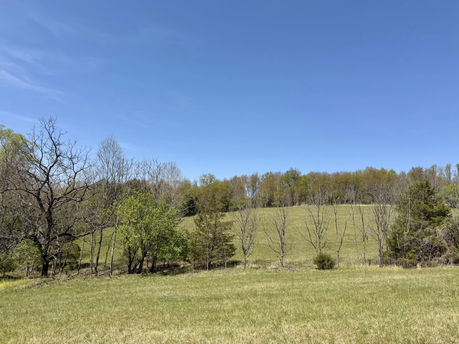 0 Greenhouse RD - Photo 46