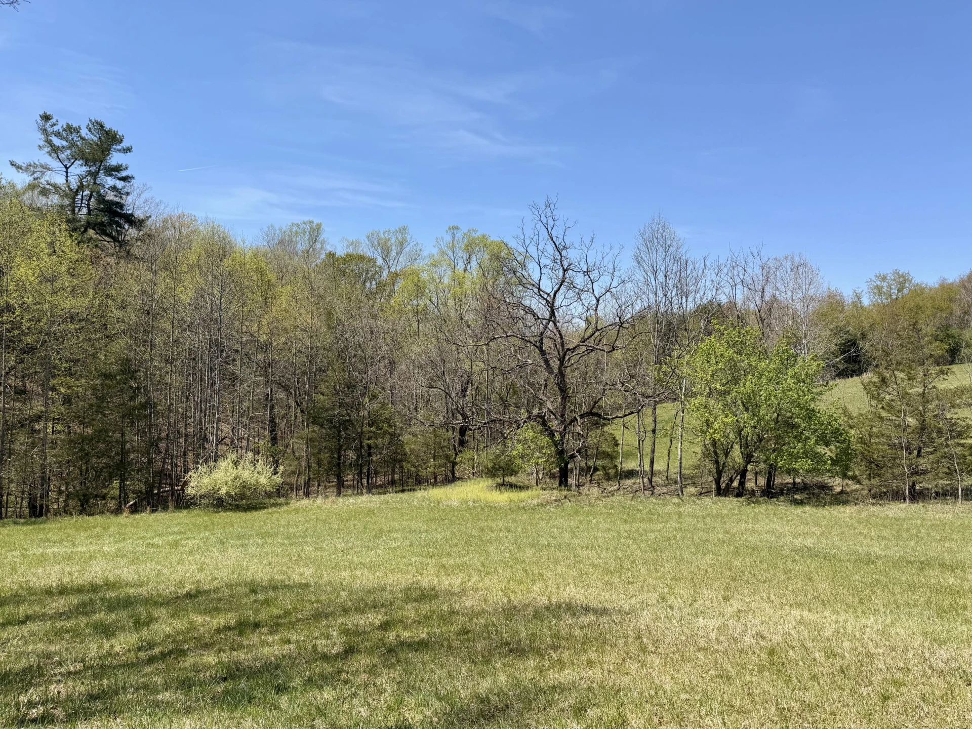 0 Greenhouse RD - Photo 8
