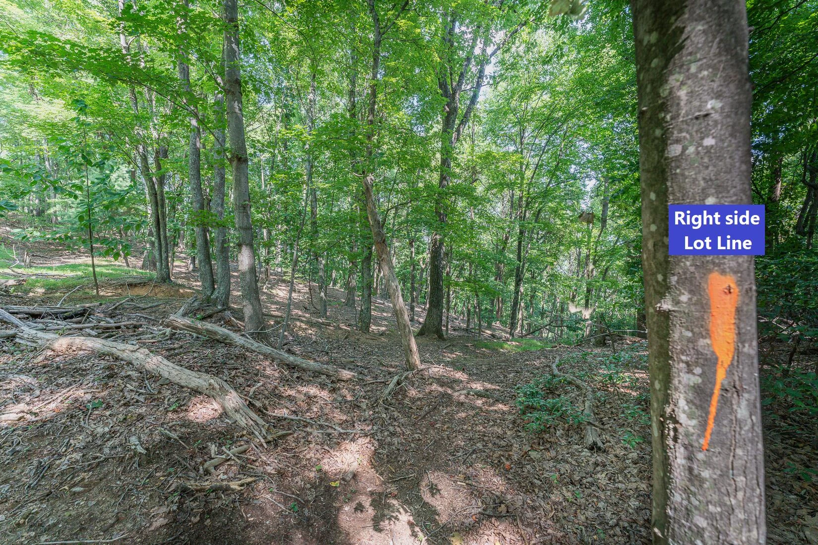 Lot 33 Windridge PKWY - Photo 10