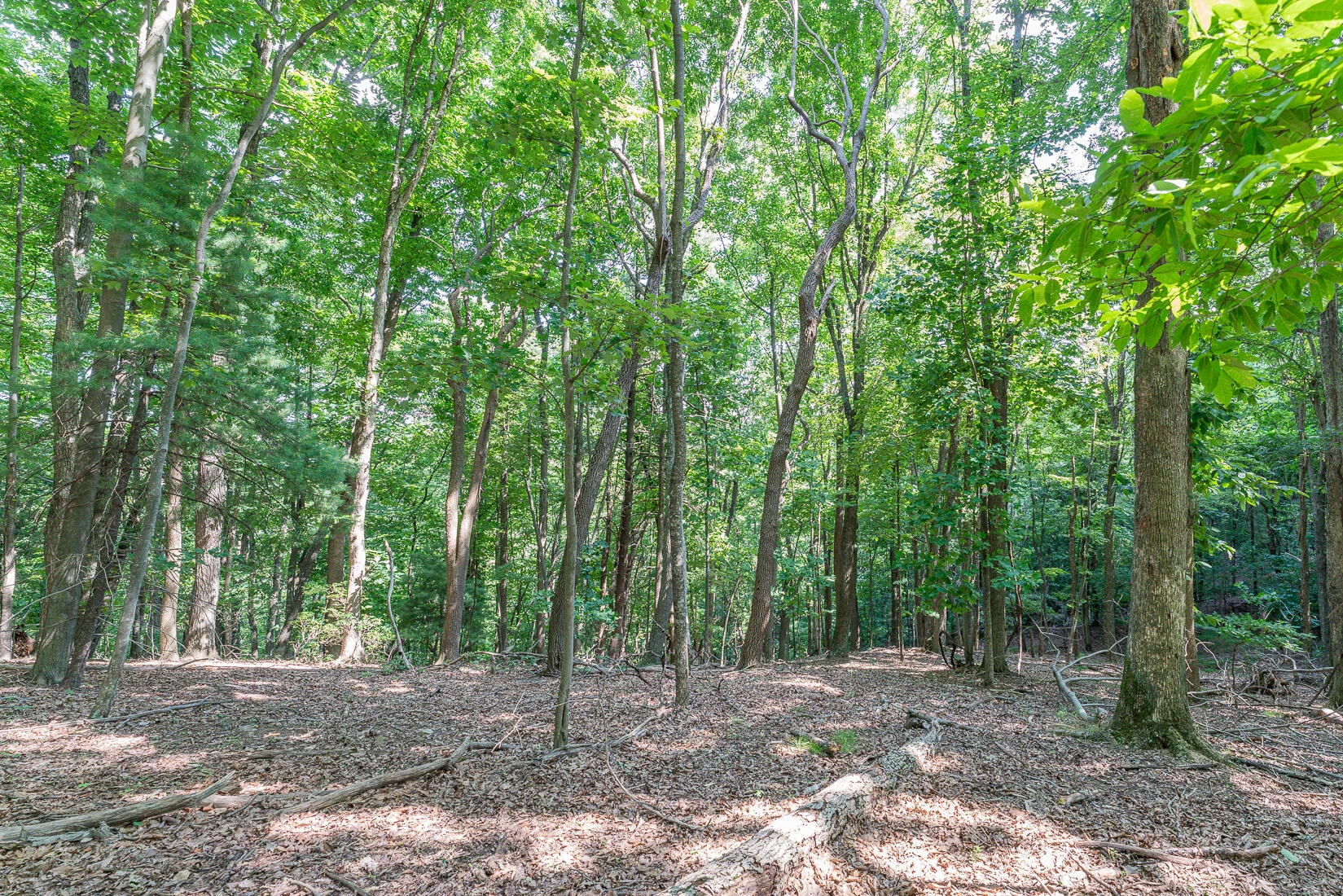 Lot 33 Windridge PKWY - Photo 2