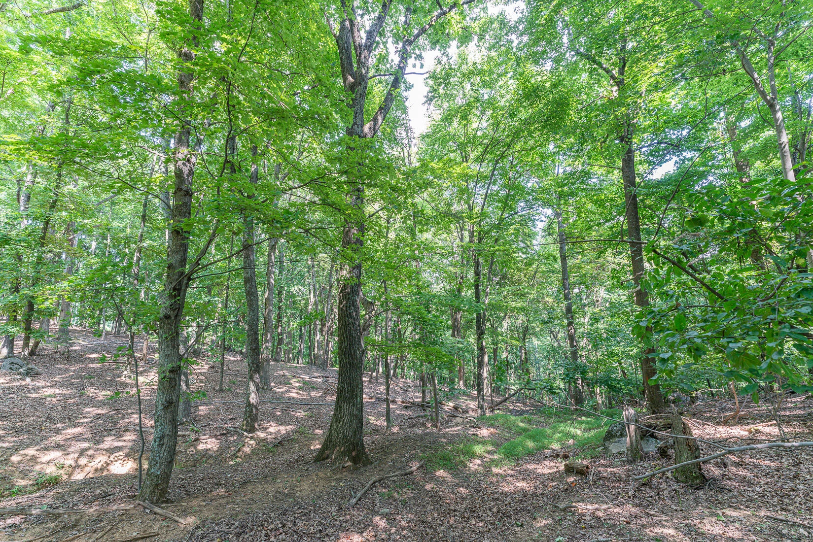 Lot 33 Windridge PKWY - Photo 6