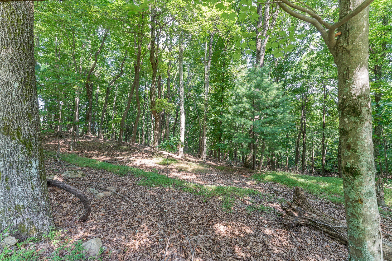 Lot 33 Windridge PKWY - Photo 7