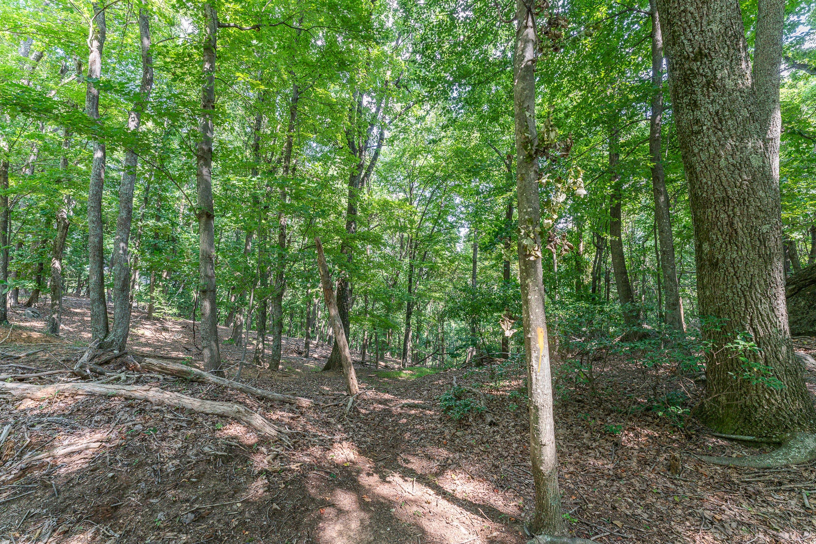 Lot 33 Windridge PKWY - Photo 8