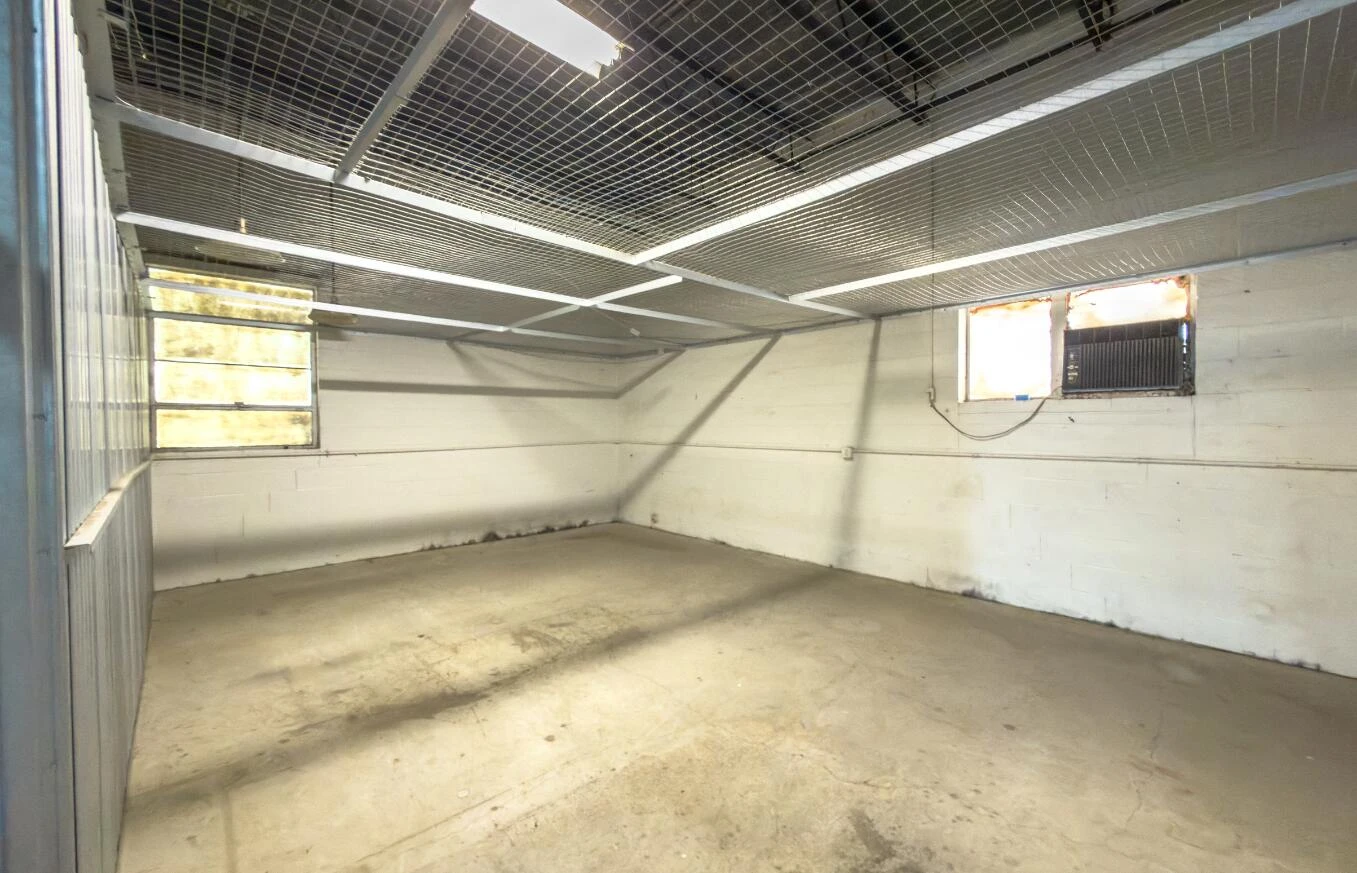 6704 Williamson RD - Photo 23