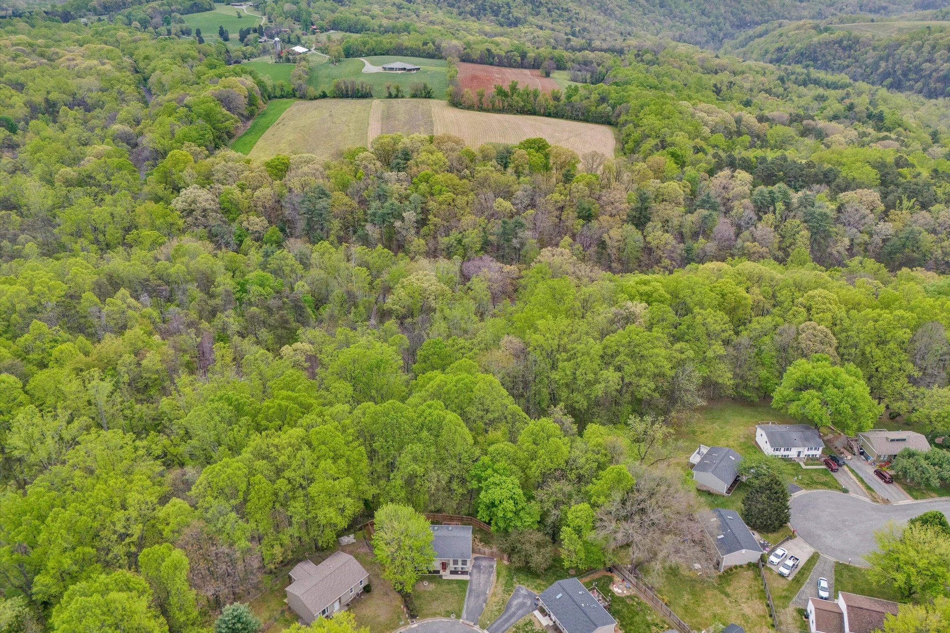 2176 Horn CIR - Photo 35