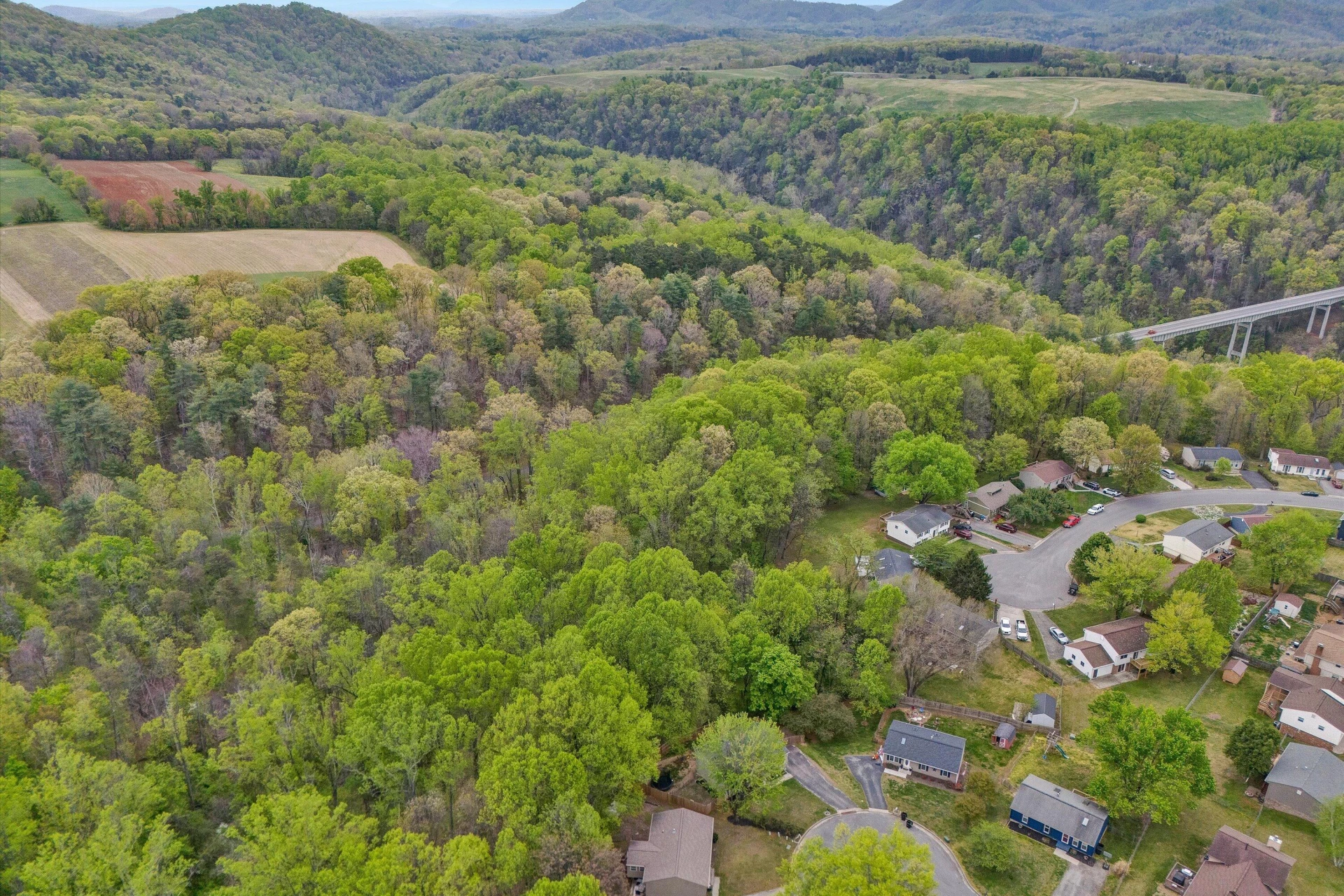 2176 Horn CIR - Photo 37