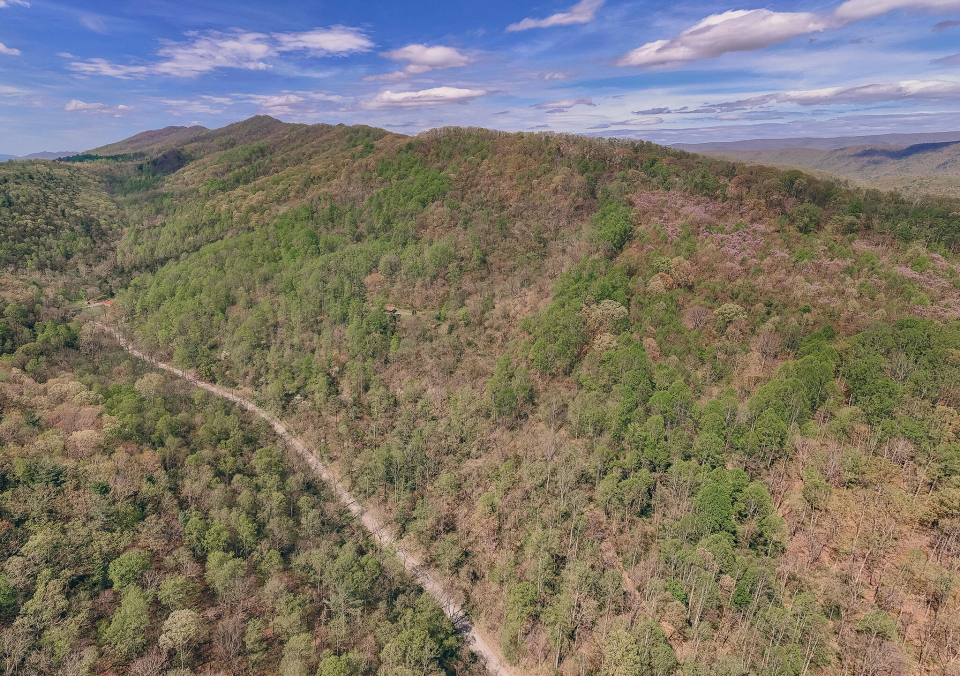 0 Sugar Tree Hollow RD